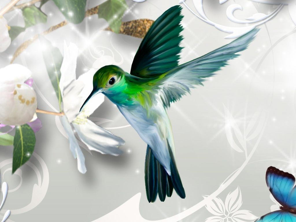 Abstract Hummingbird Wallpapers