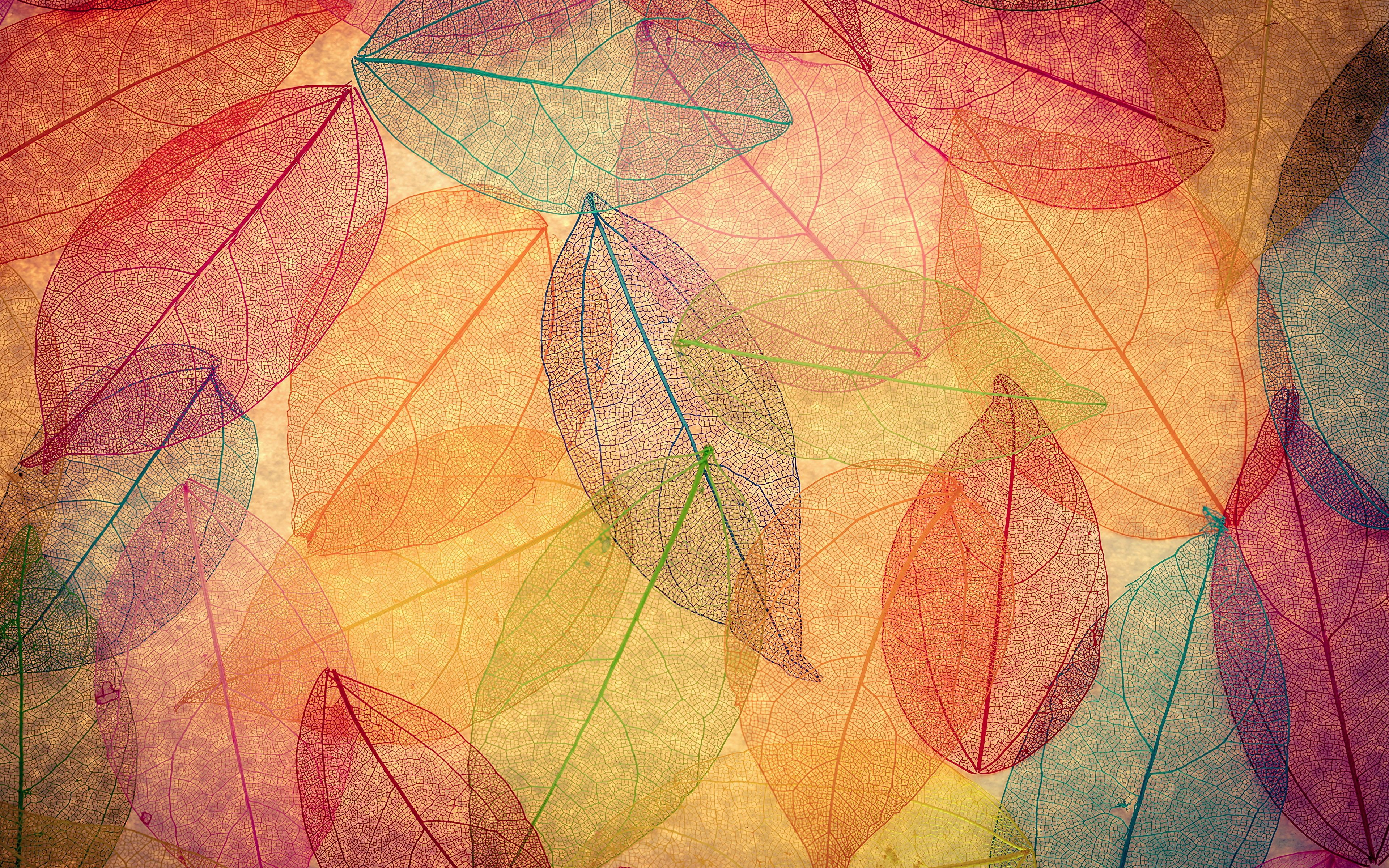 Abstract Leaves Wallpapers