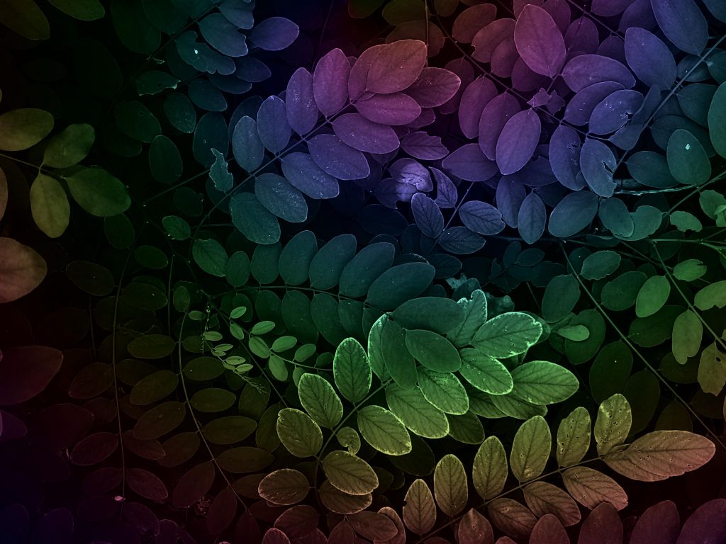 Abstract Leaves Wallpapers