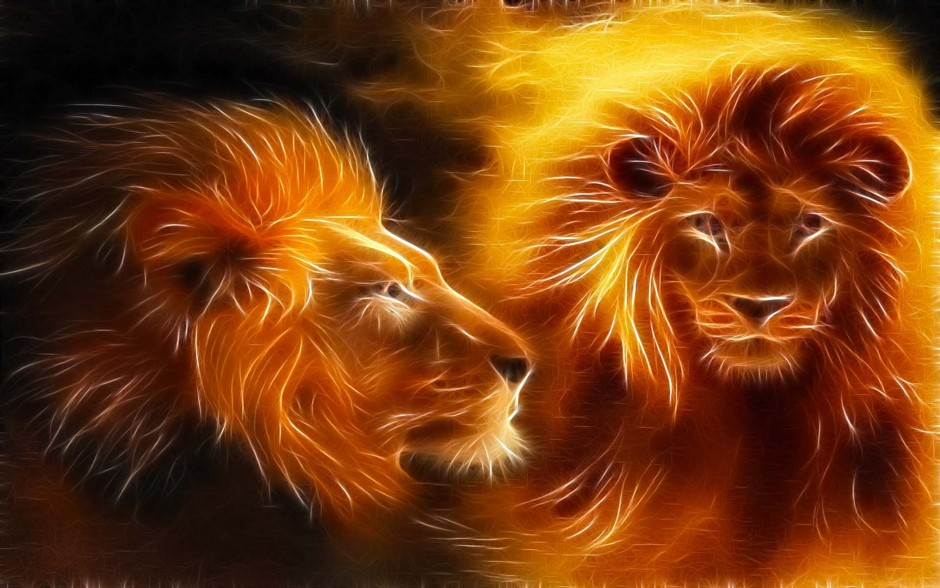 Abstract Lion Wallpapers