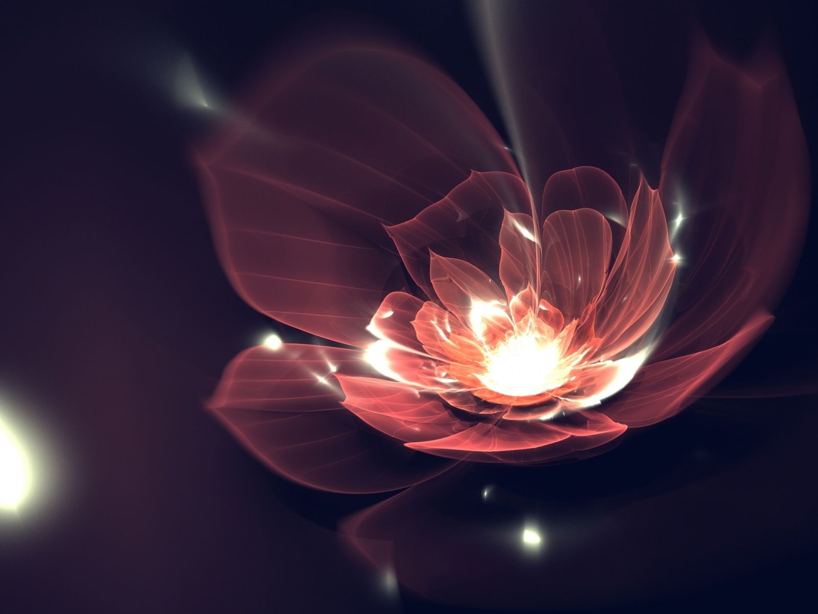 Abstract Lotus Wallpapers