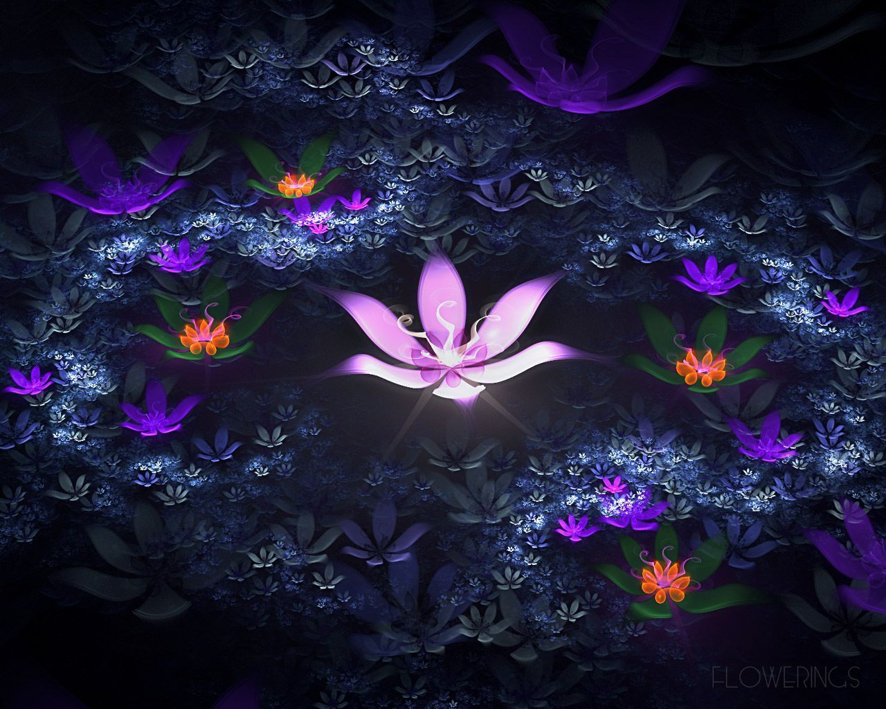 Abstract Lotus Wallpapers