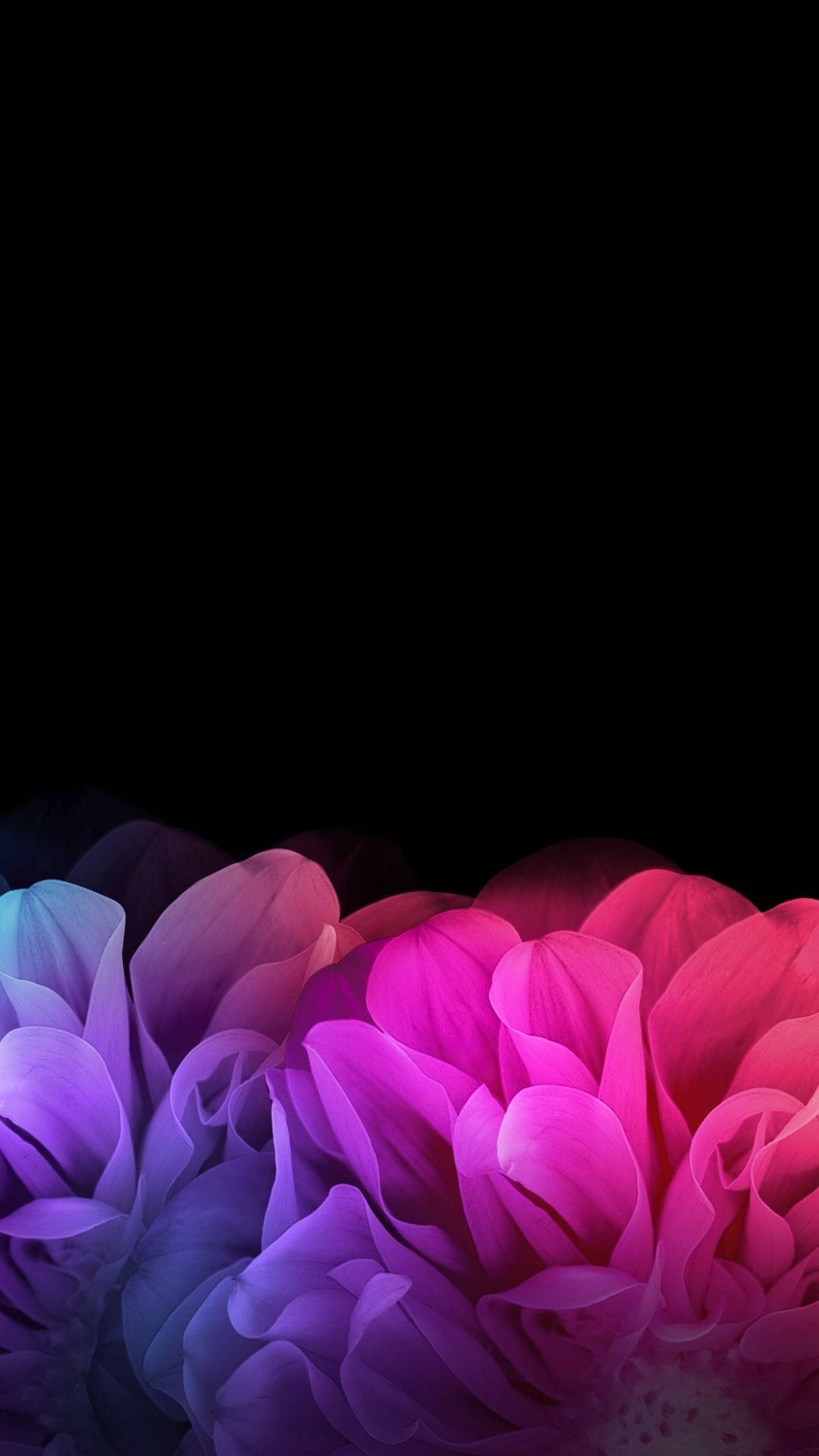 Abstract Petals Wallpapers