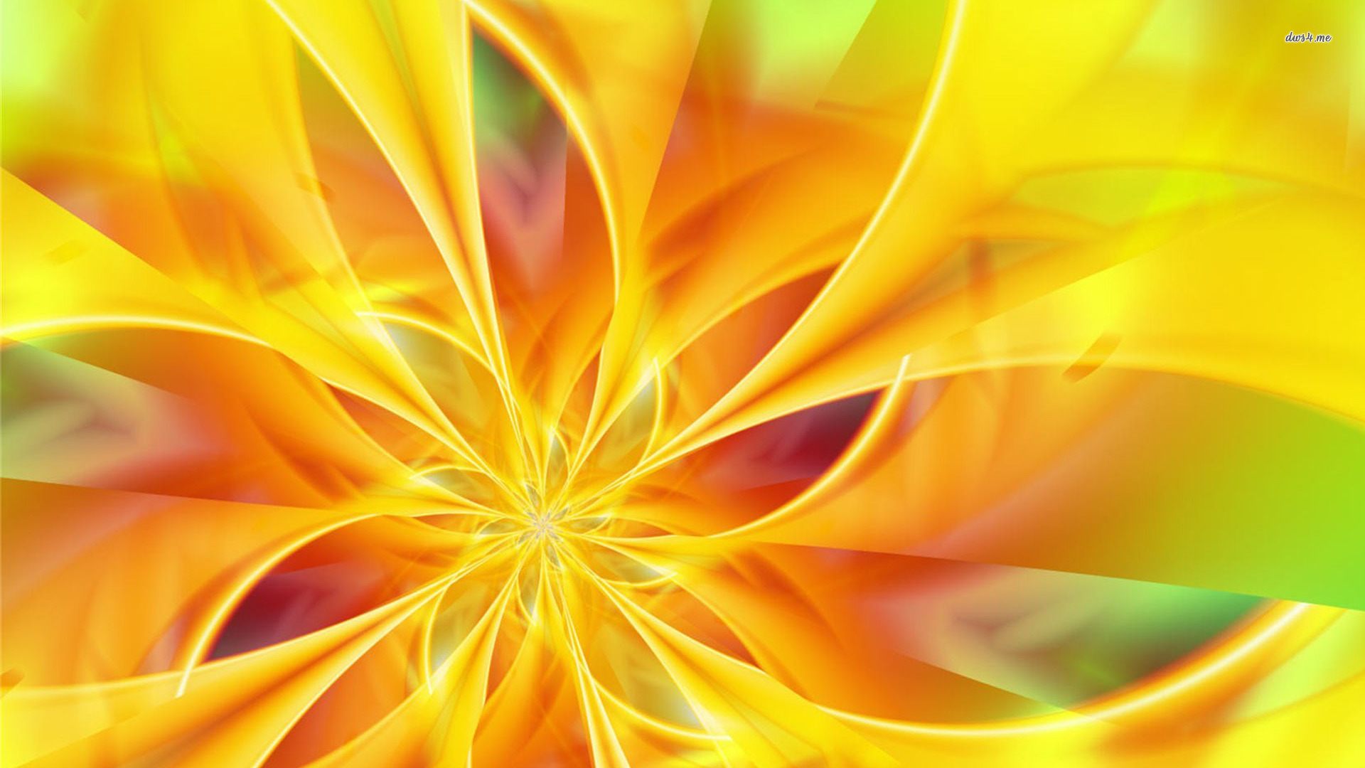 Abstract Petals Wallpapers