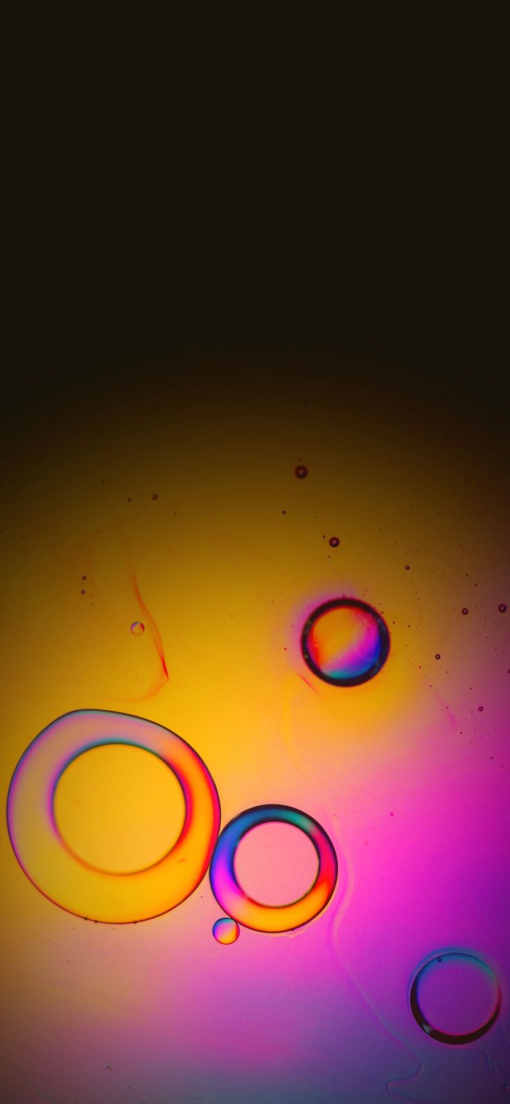 Abstract Purple And Yellow Circles Wallpapers