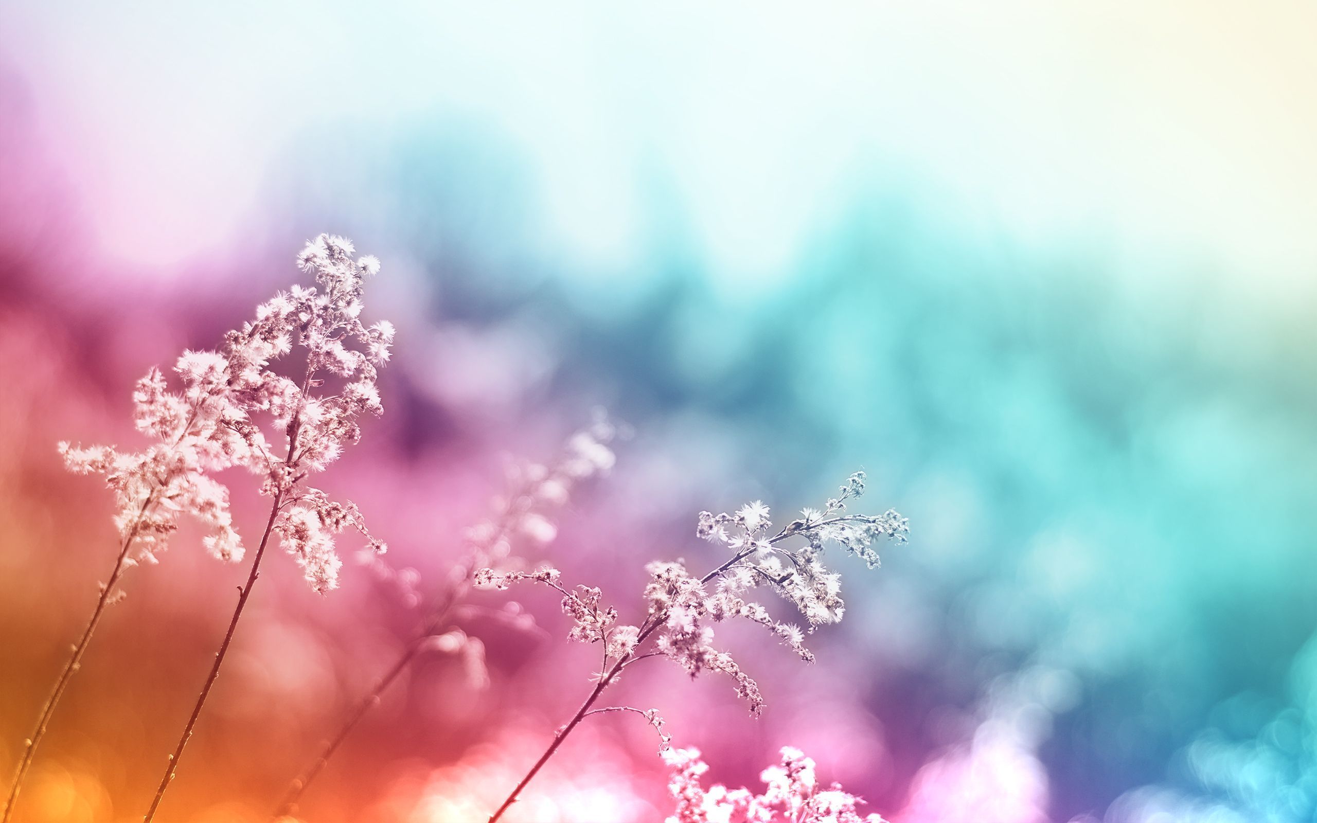 Abstract Spring Wallpapers