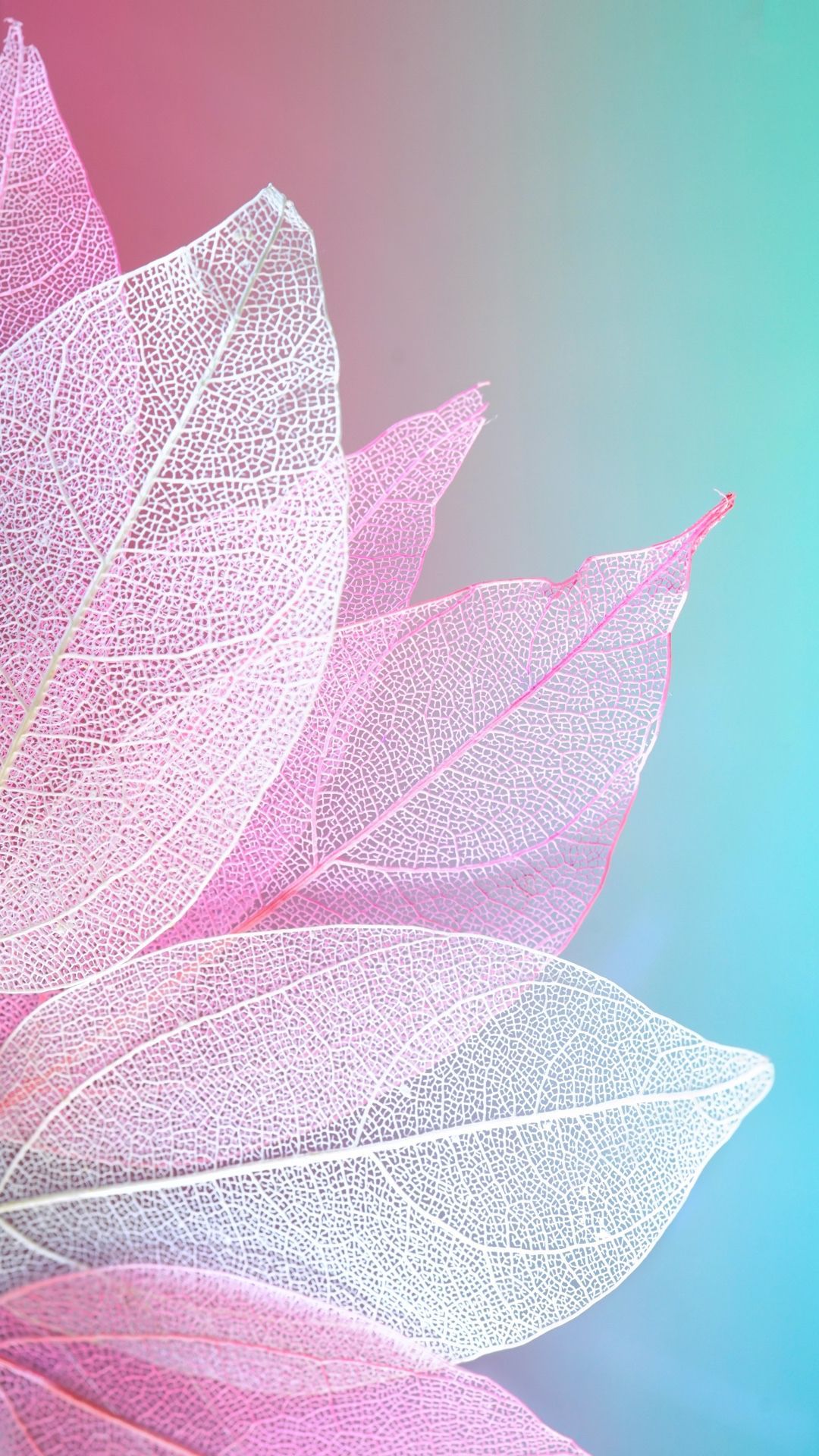 Abstract Spring Wallpapers