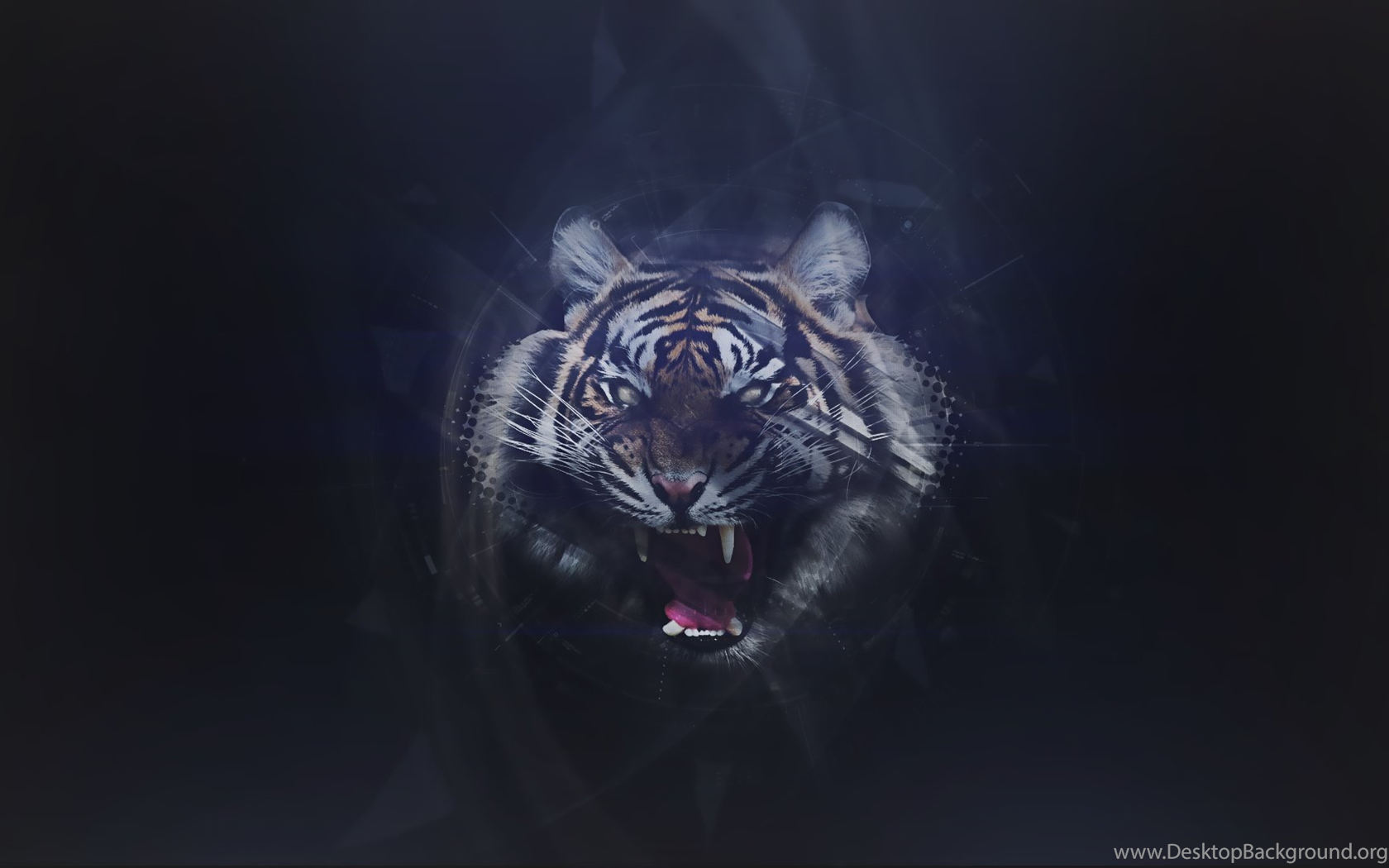 Abstract Tiger Wallpapers