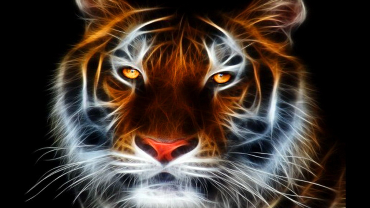 Abstract Tiger Wallpapers