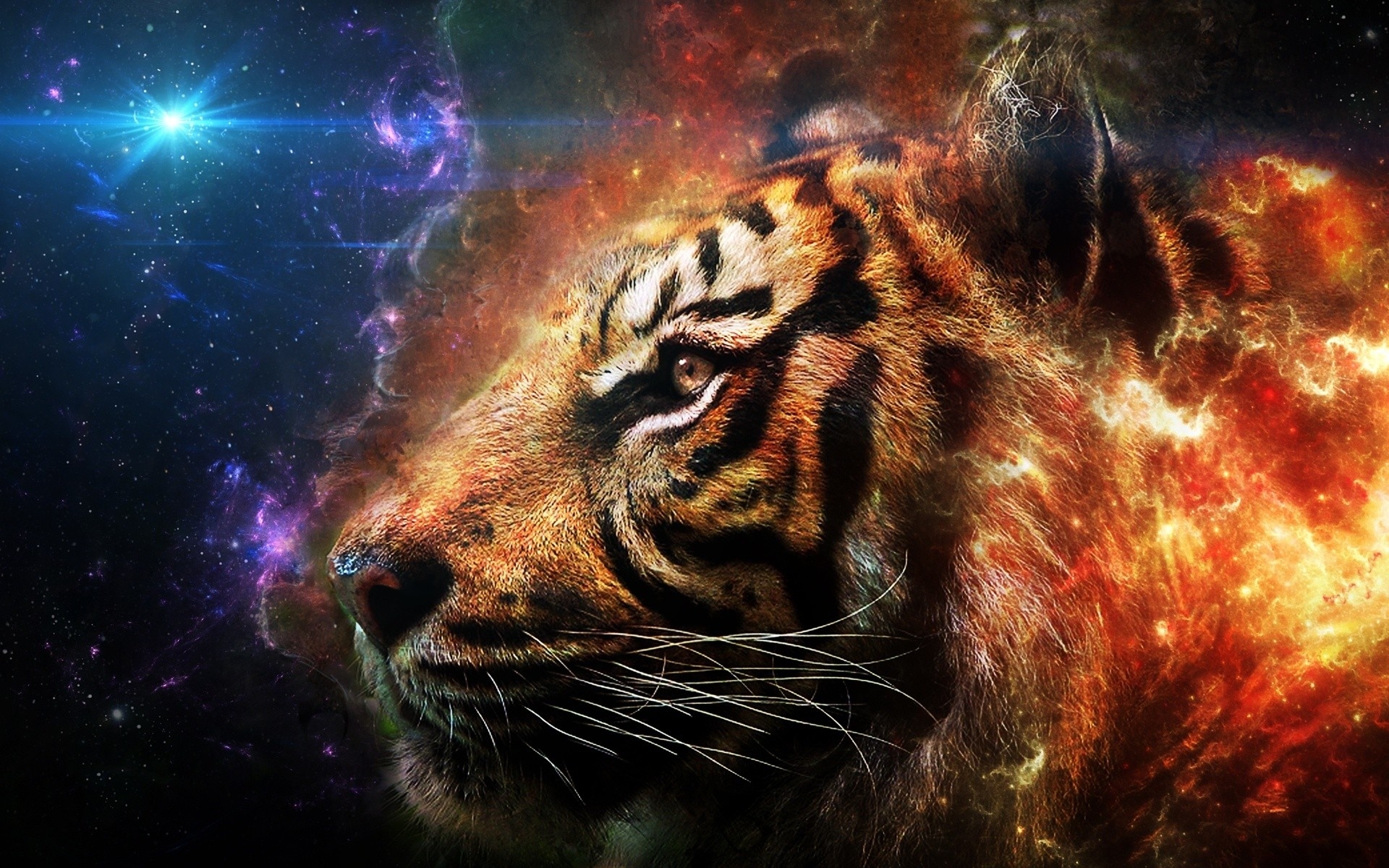 Abstract Tiger Wallpapers