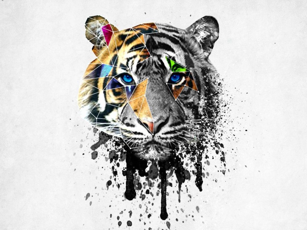 Abstract Tiger Wallpapers