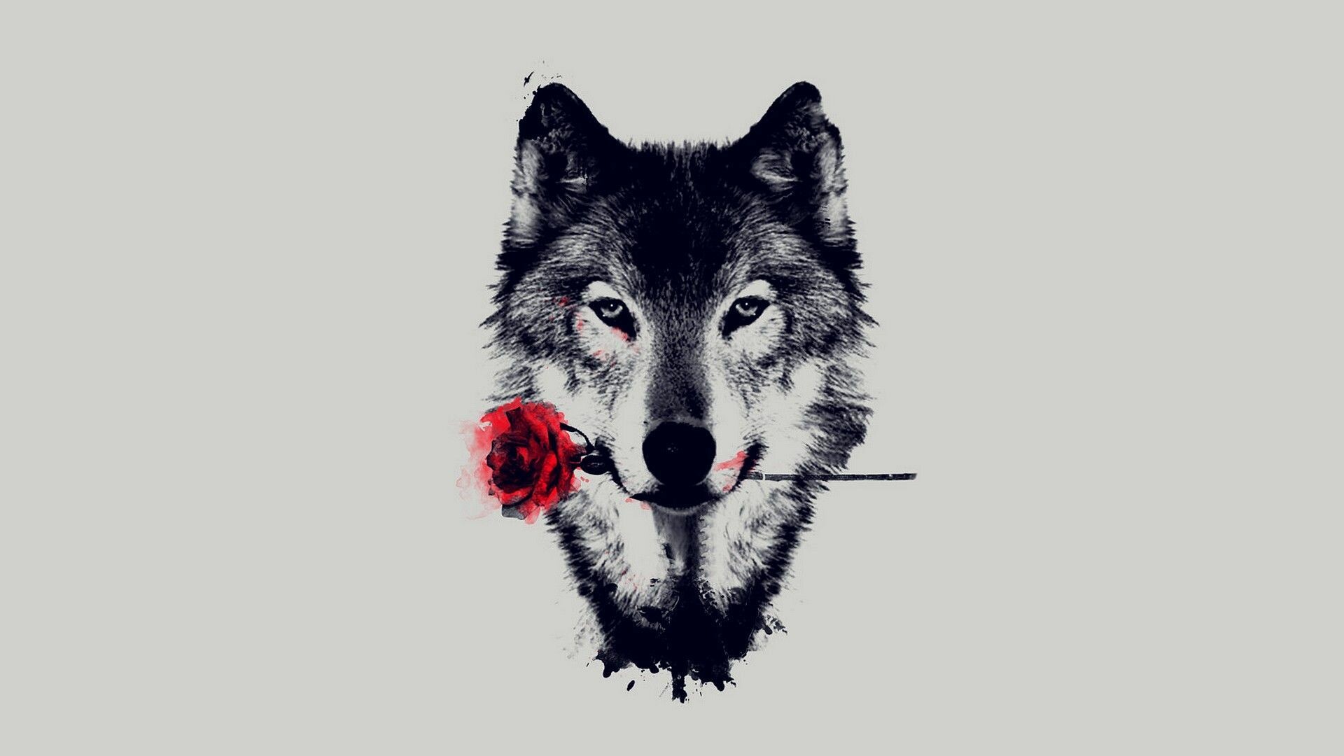 Abstract Wolf Hd Wallpapers