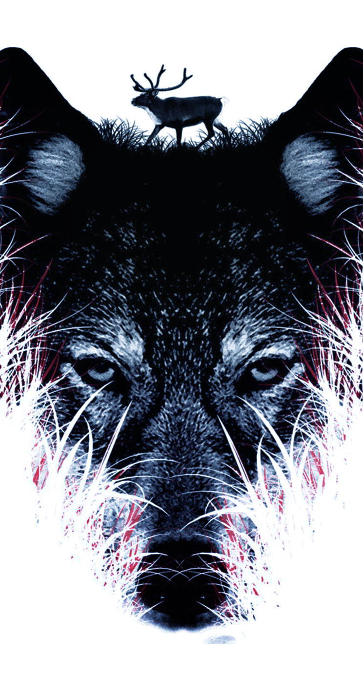 Abstract Wolf Hd Wallpapers