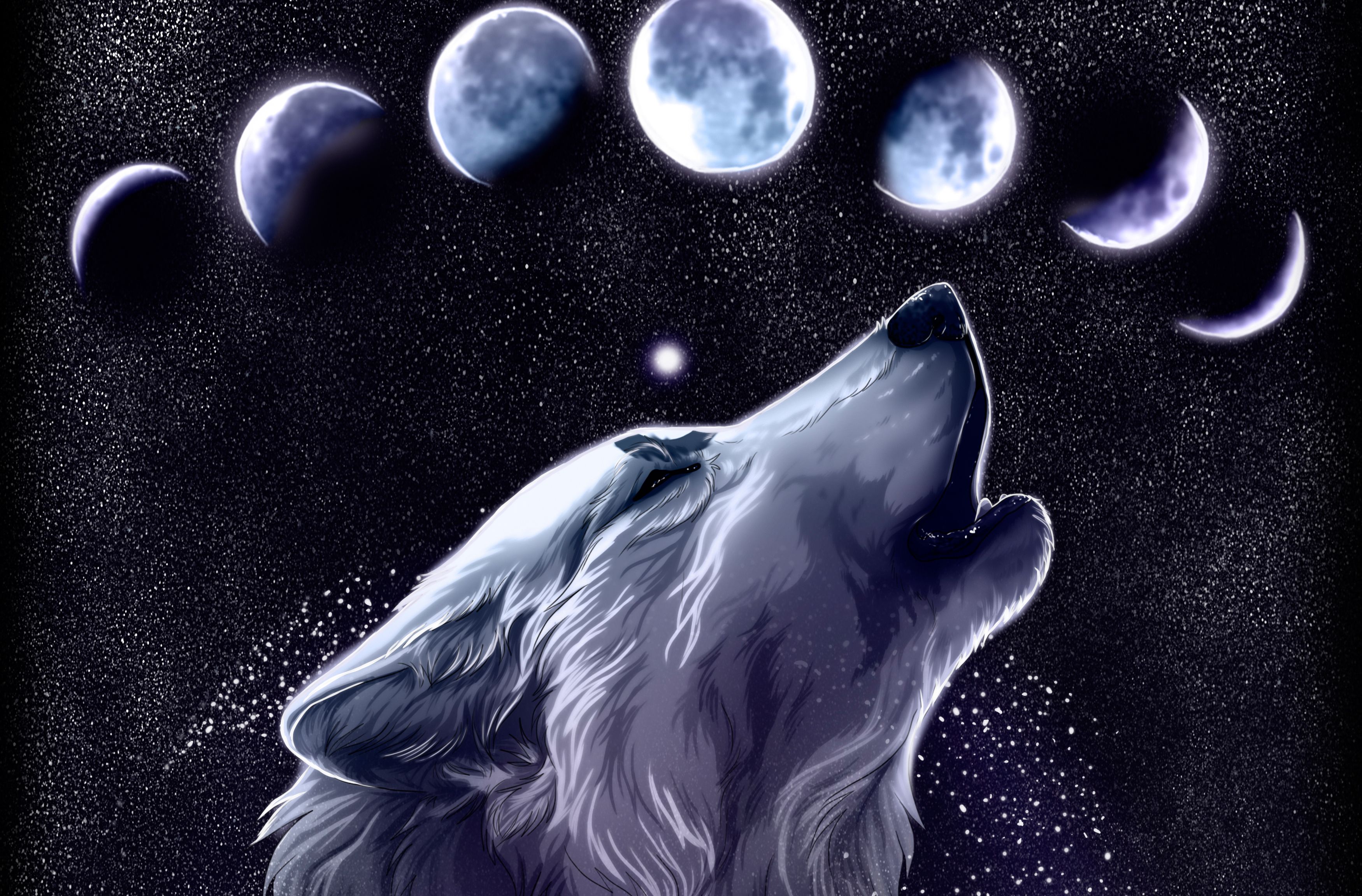 Abstract Wolf Wallpapers