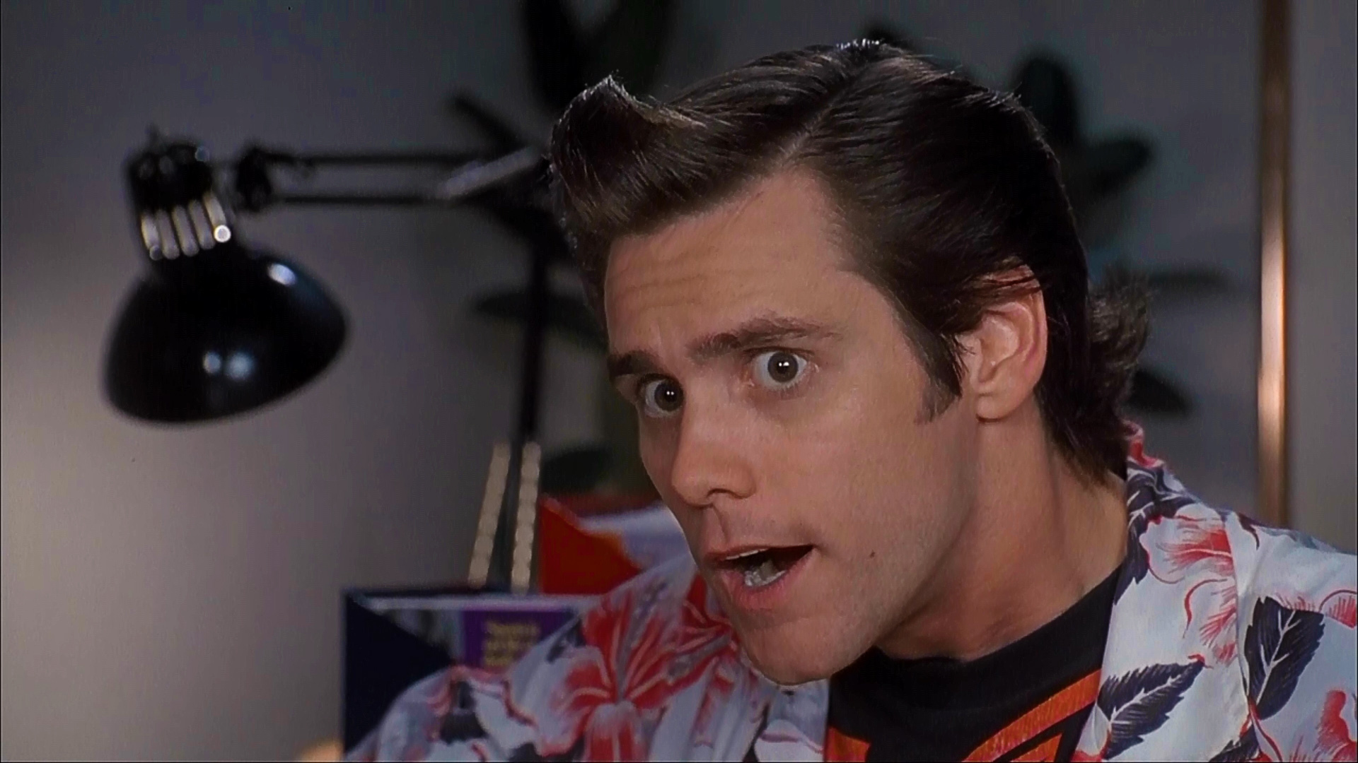 Ace Ventura: Pet Detective Wallpapers