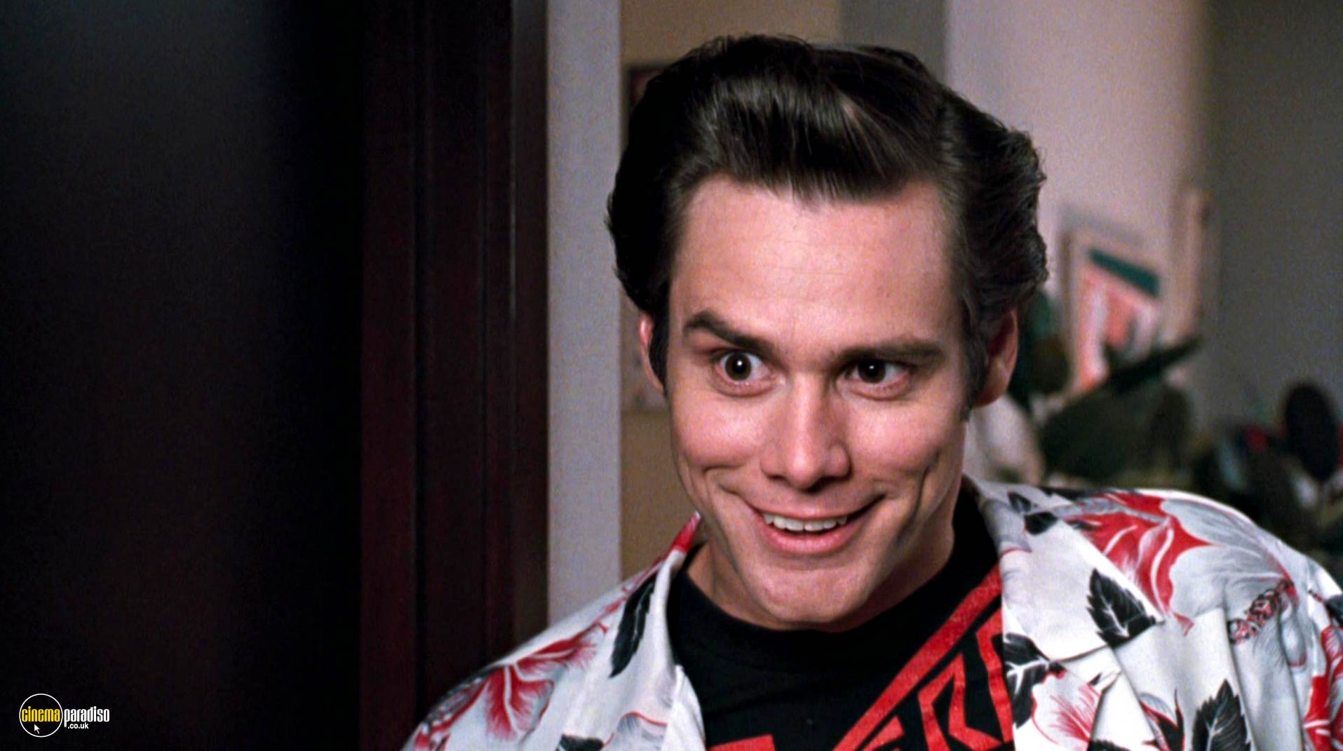 Ace Ventura: Pet Detective Wallpapers