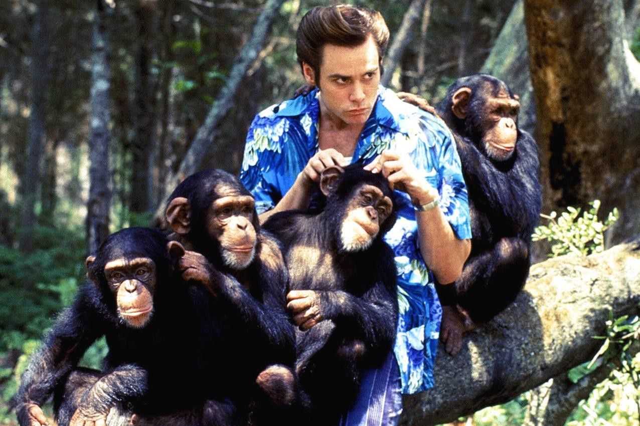 Ace Ventura: Pet Detective Wallpapers