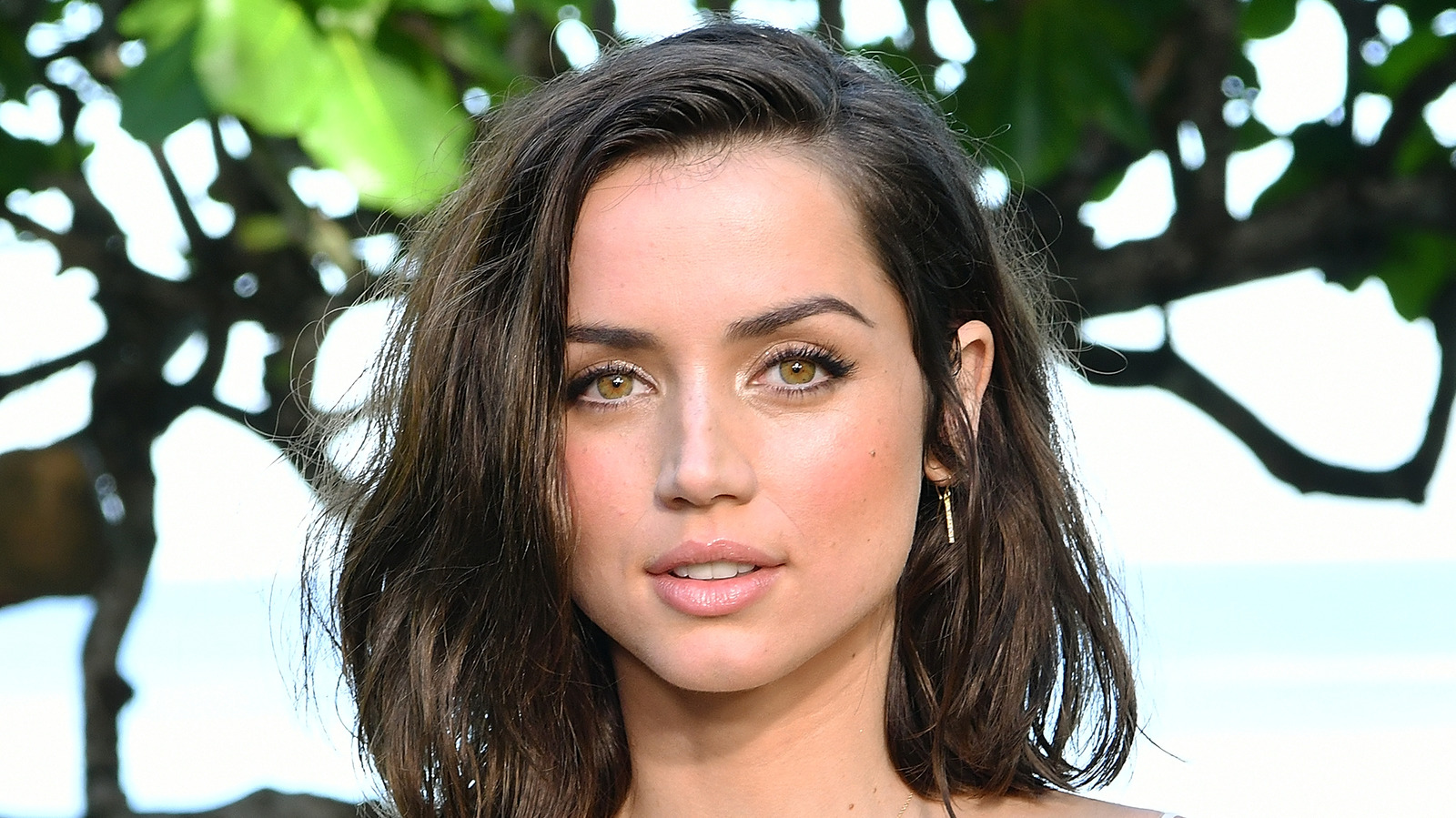 Actress Ana de Armas 2020 Wallpapers