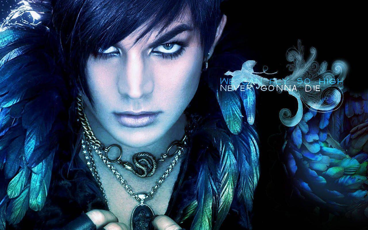 Adam Lambert Wallpapers