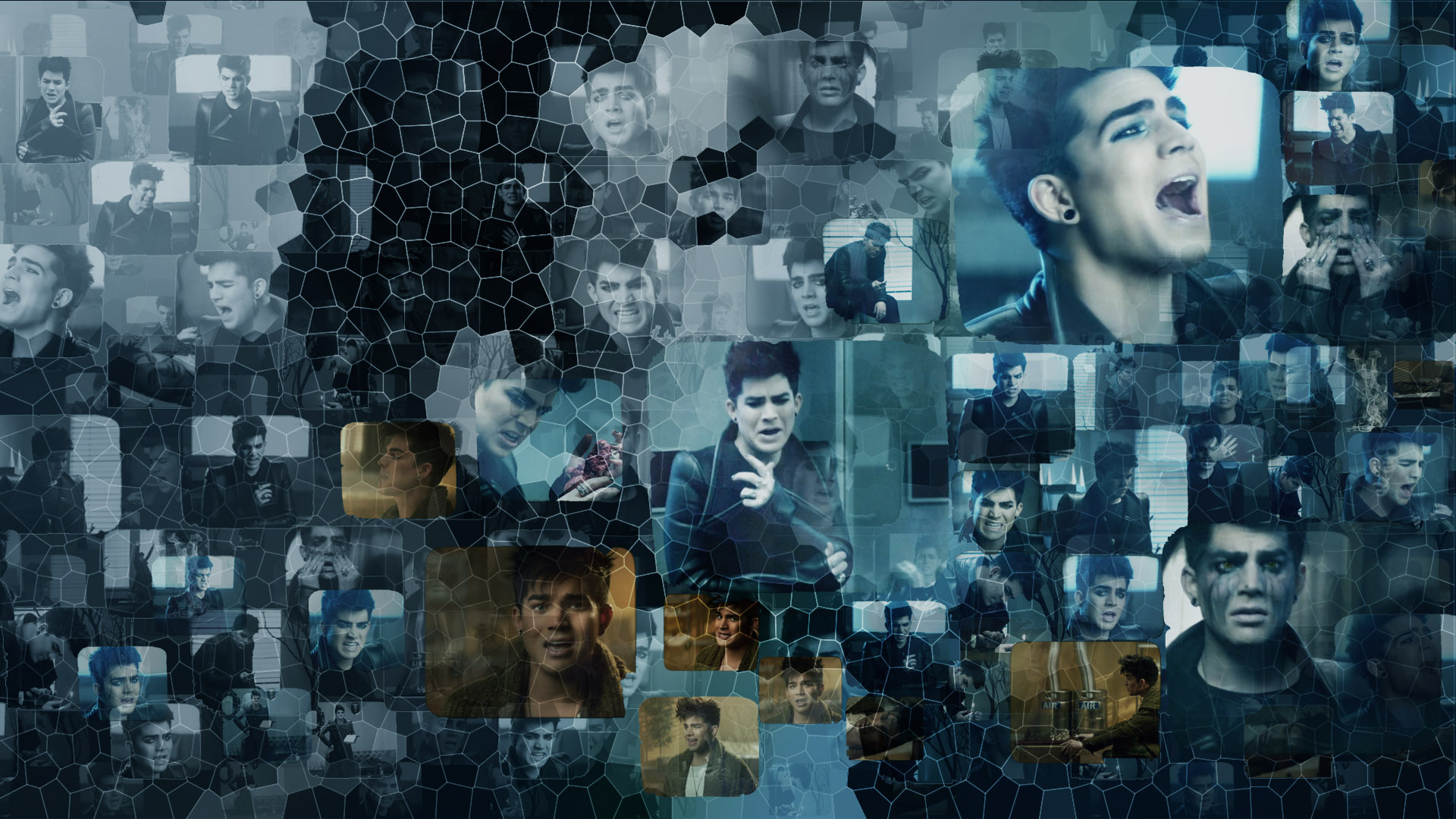 Adam Lambert Wallpapers