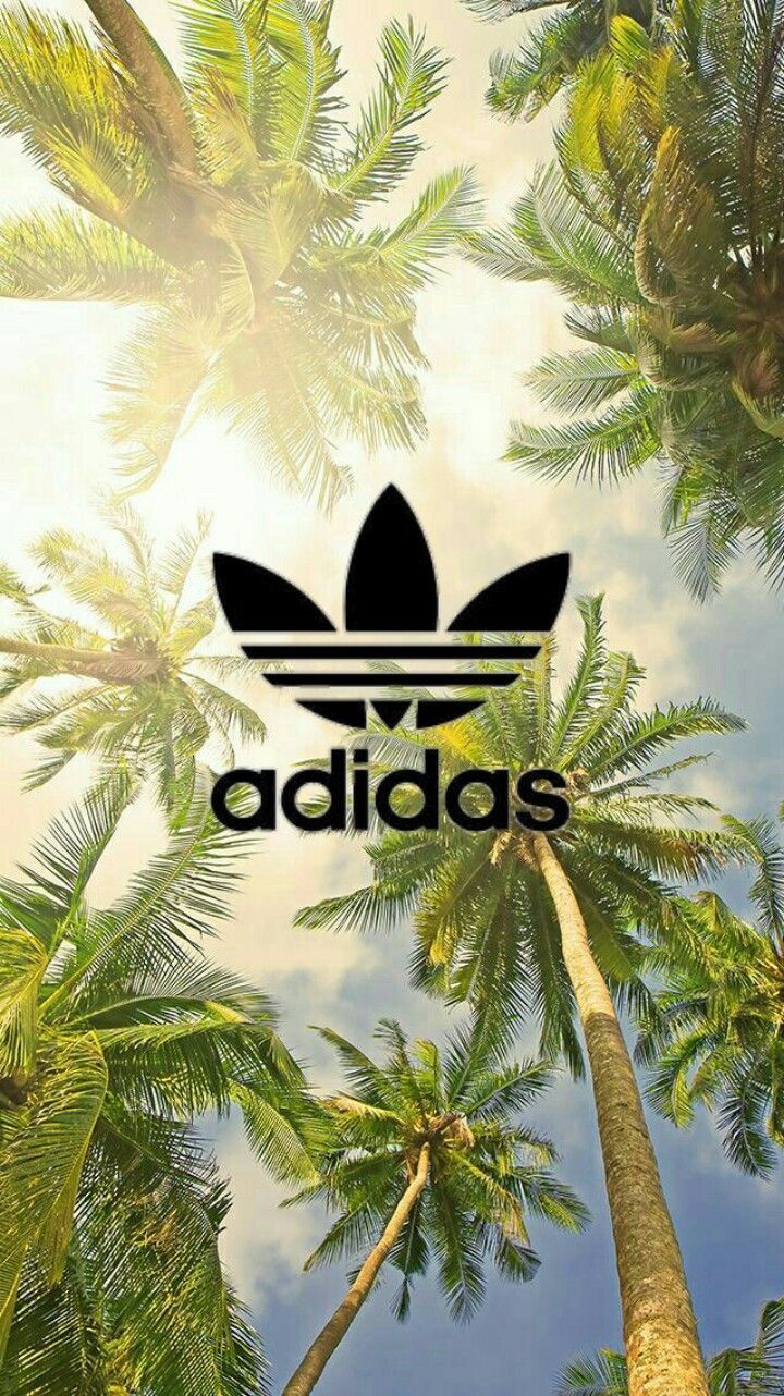 Adidas Palm Tree Wallpapers