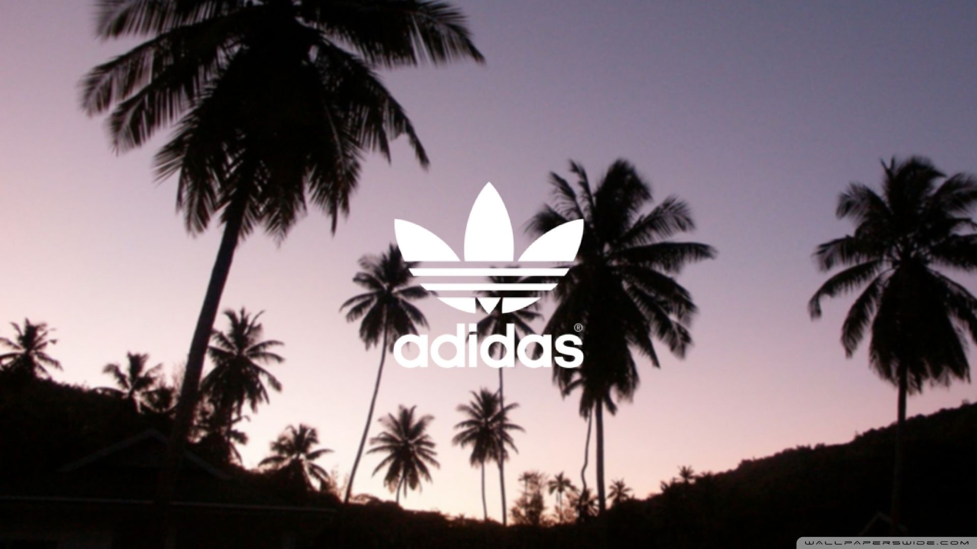 Adidas Palm Tree Wallpapers