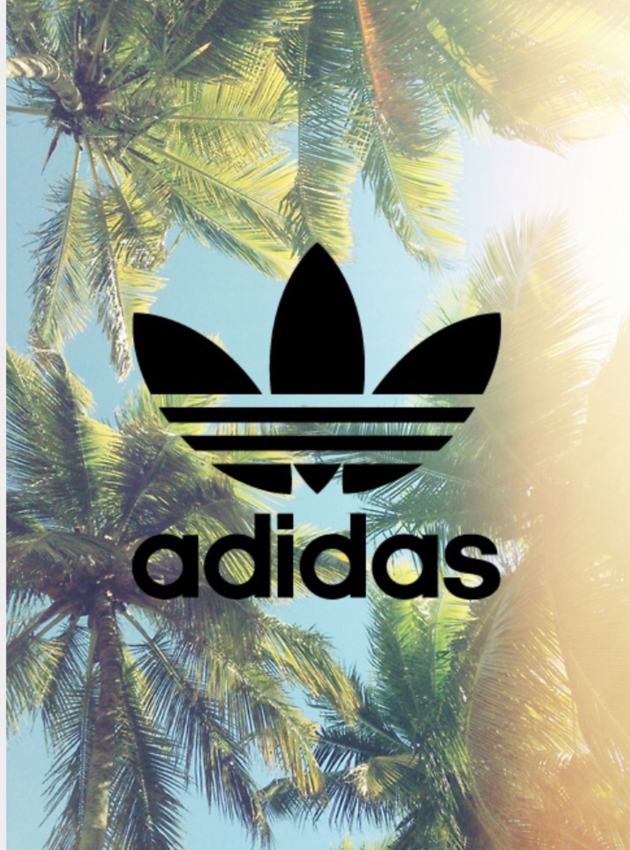 Adidas Palm Tree Wallpapers