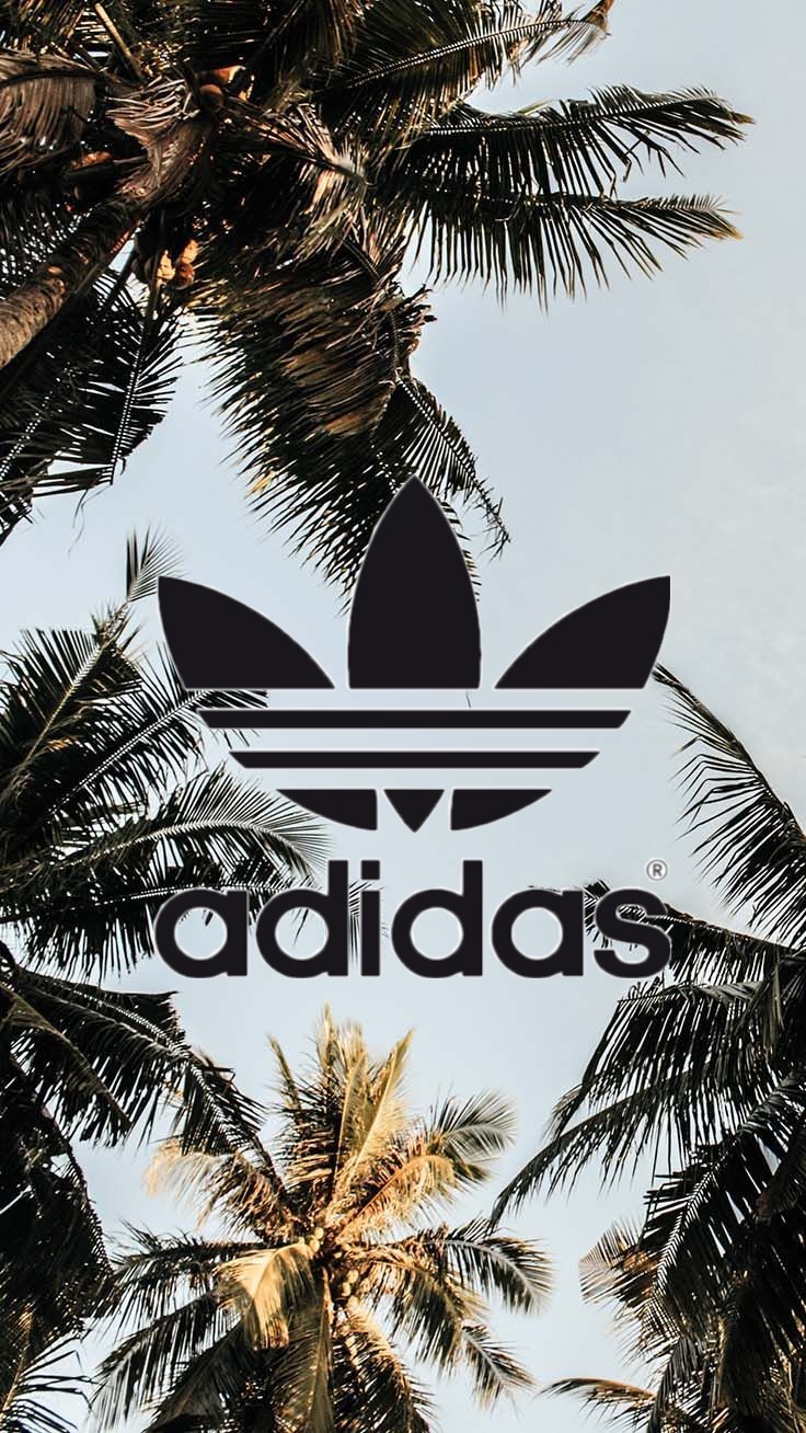 Adidas Palm Tree Wallpapers