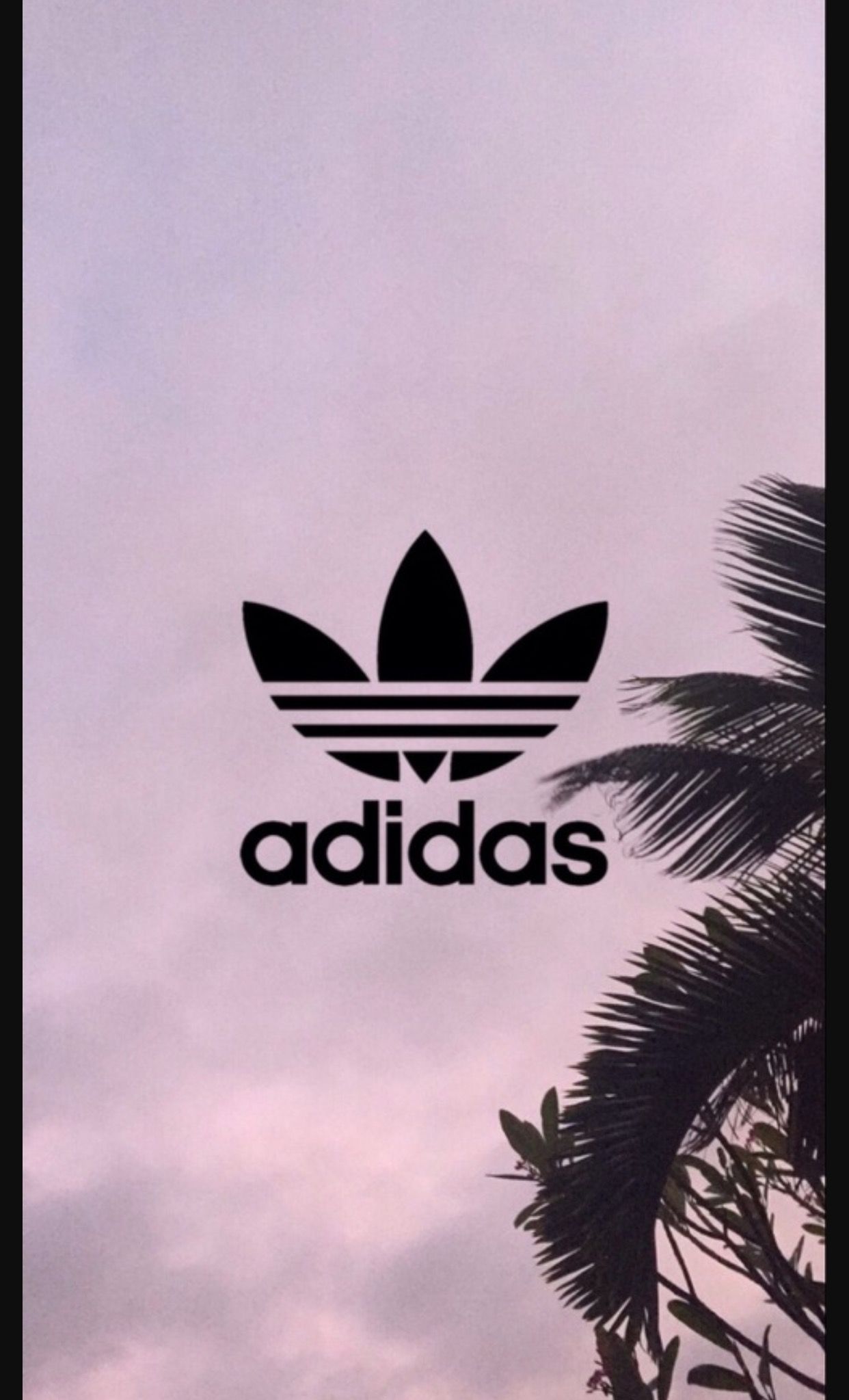 Adidas Palm Tree Wallpapers