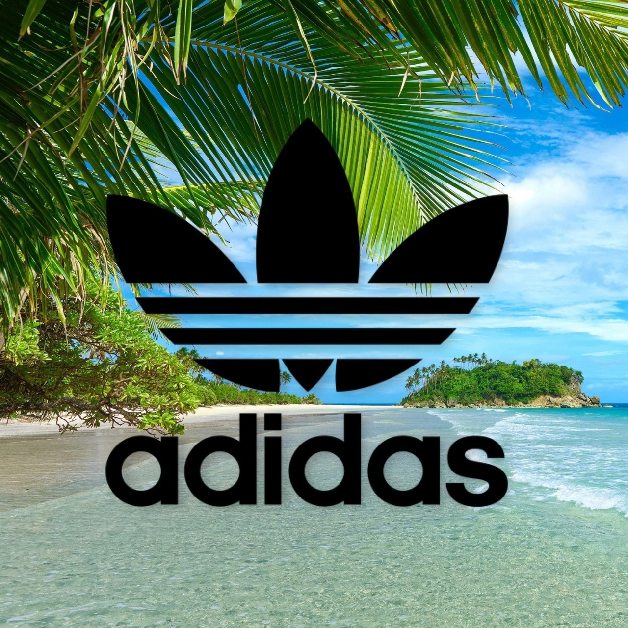 Adidas Palm Tree Wallpapers