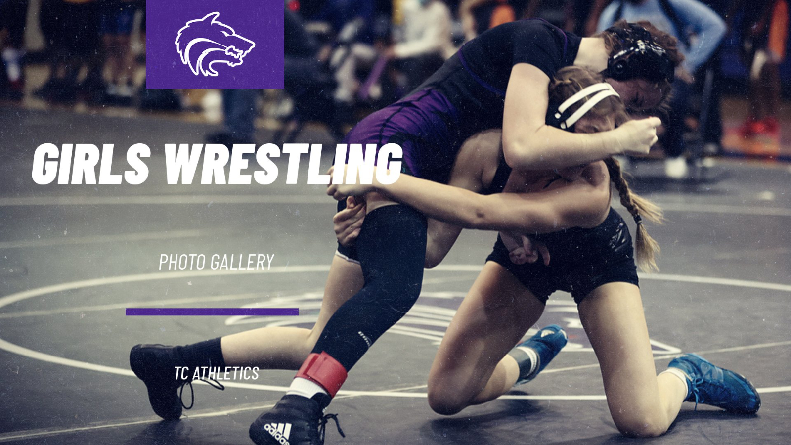 Adidas Wrestling Wallpapers