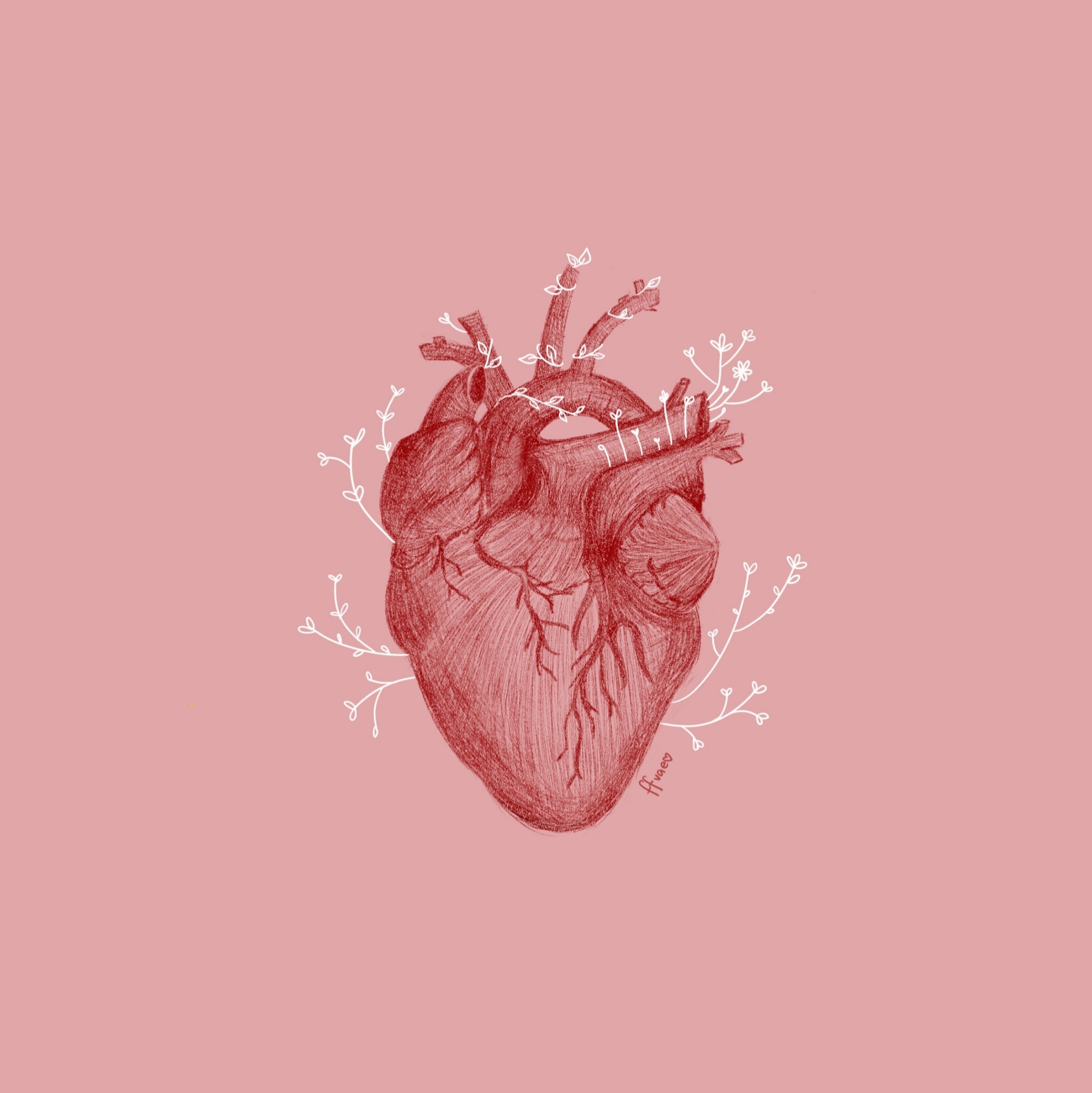 Aesthetic Anatomical Heart Wallpapers