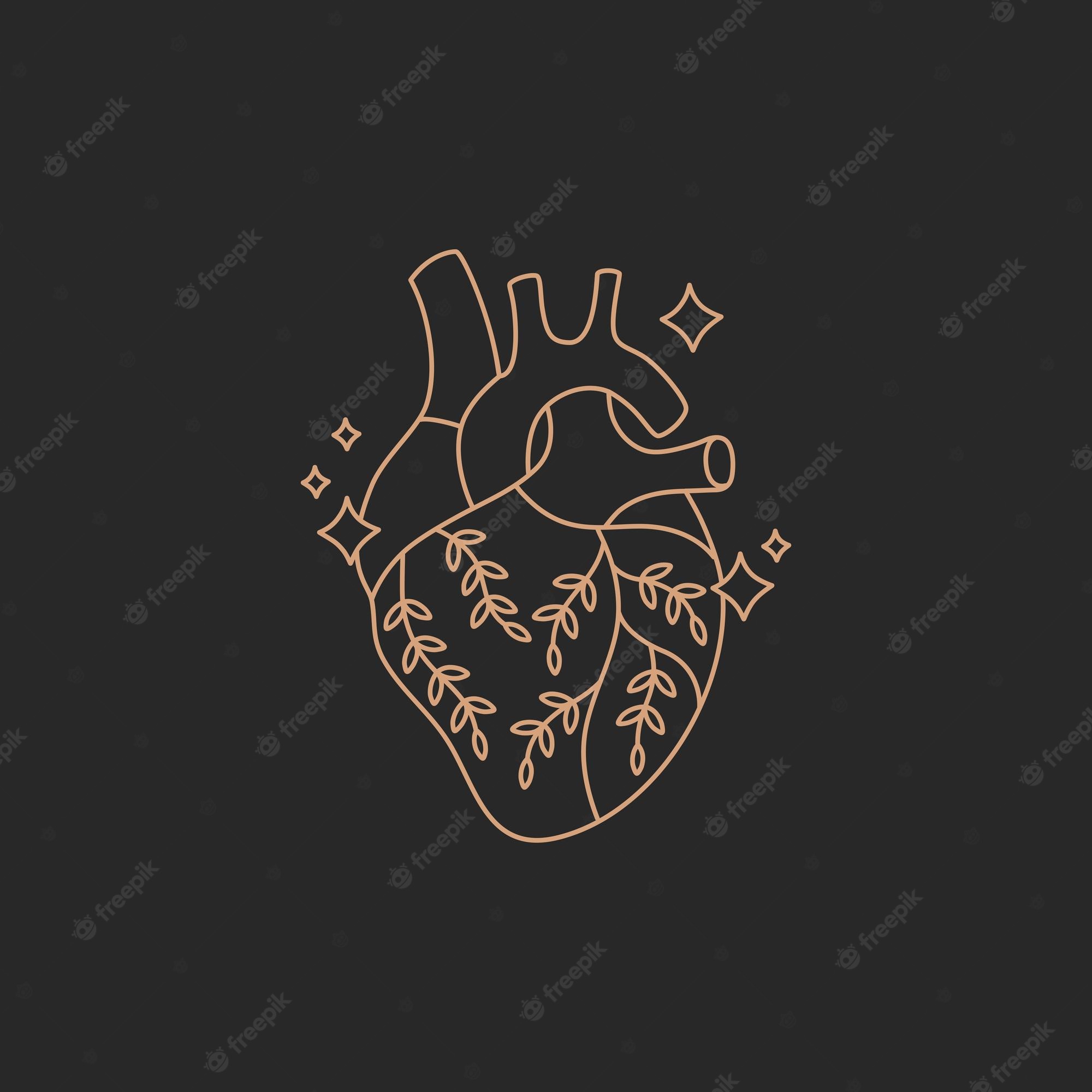 Aesthetic Anatomical Heart Wallpapers