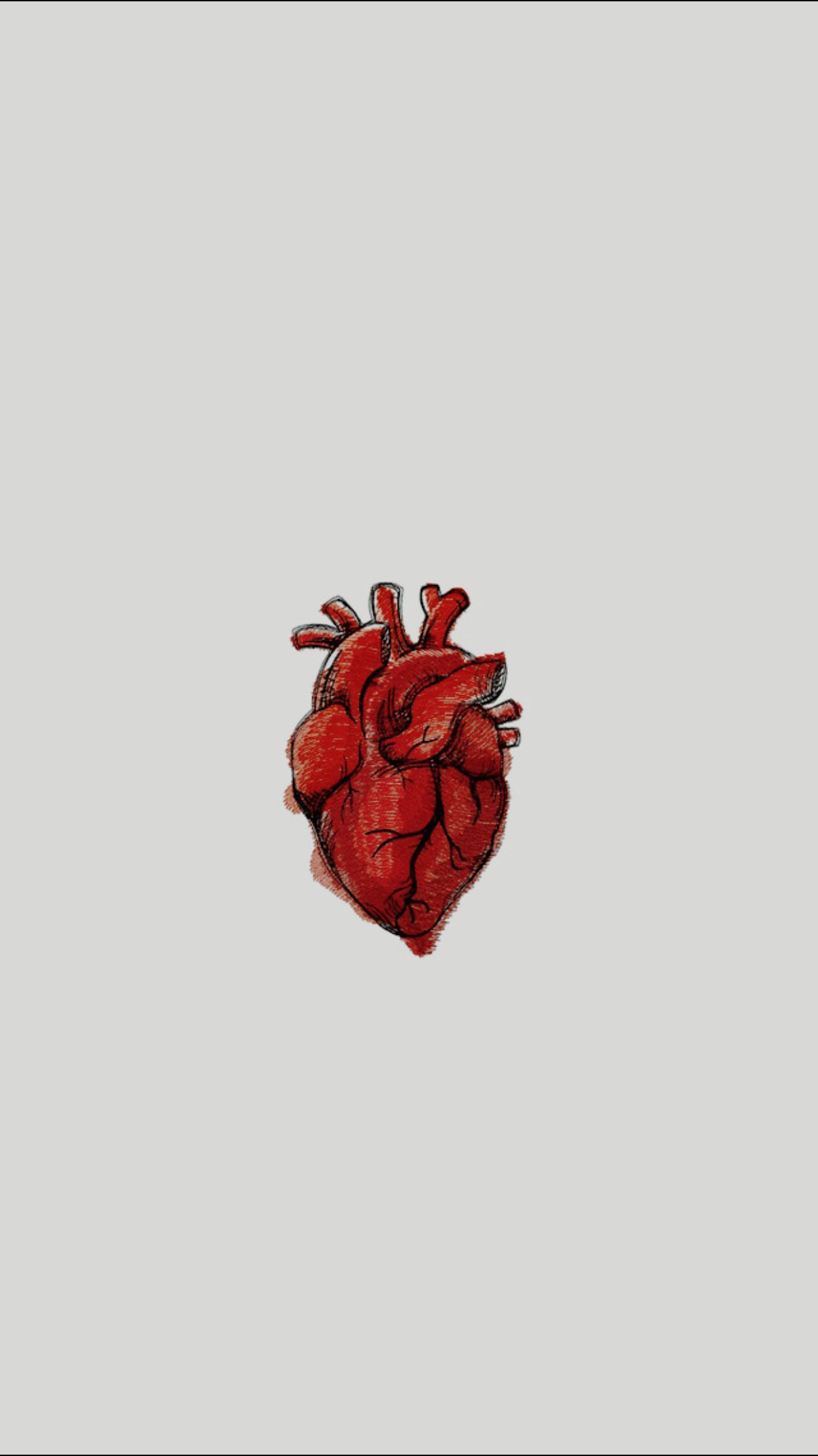 Aesthetic Anatomical Heart Wallpapers