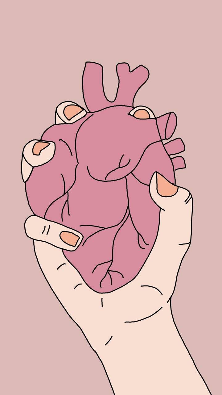 Aesthetic Anatomical Heart Wallpapers