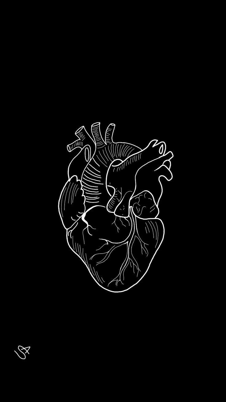 Aesthetic Anatomical Heart Wallpapers
