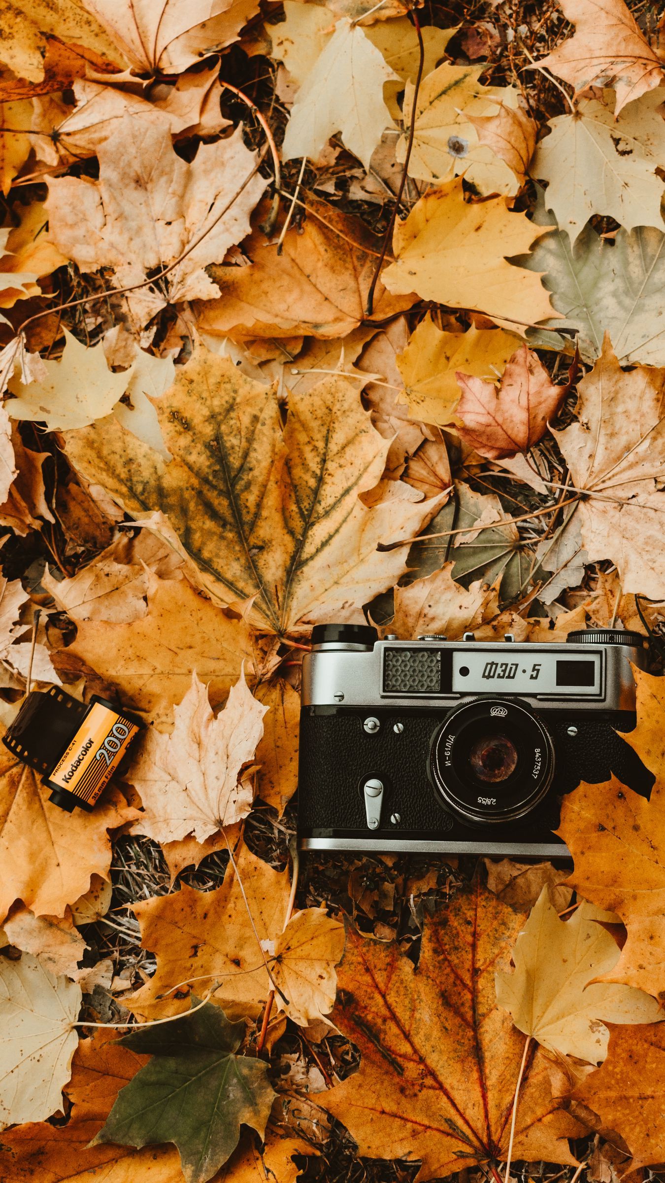 Aesthetic Autumn Wallpapers