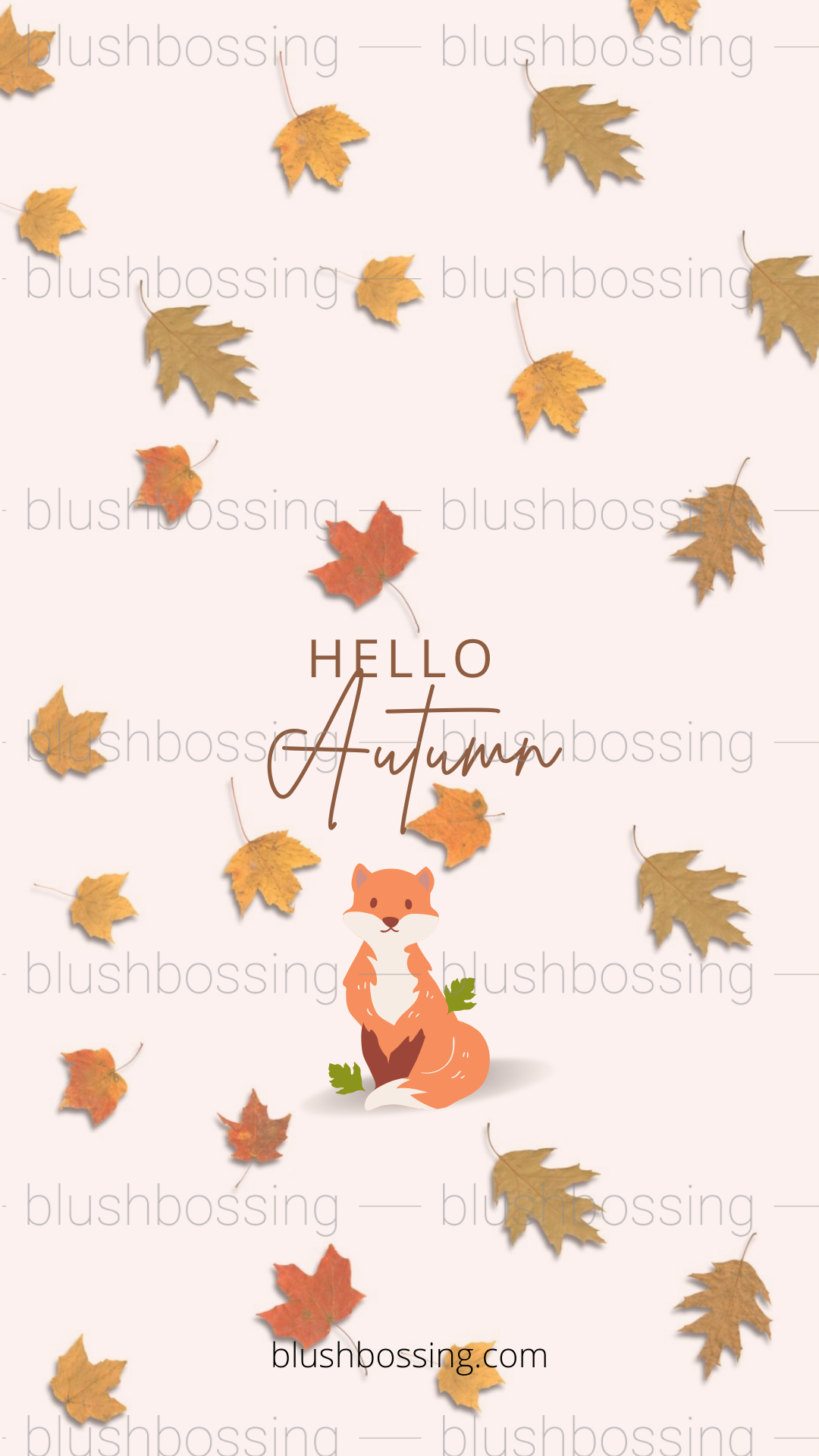 Aesthetic Autumn Wallpapers