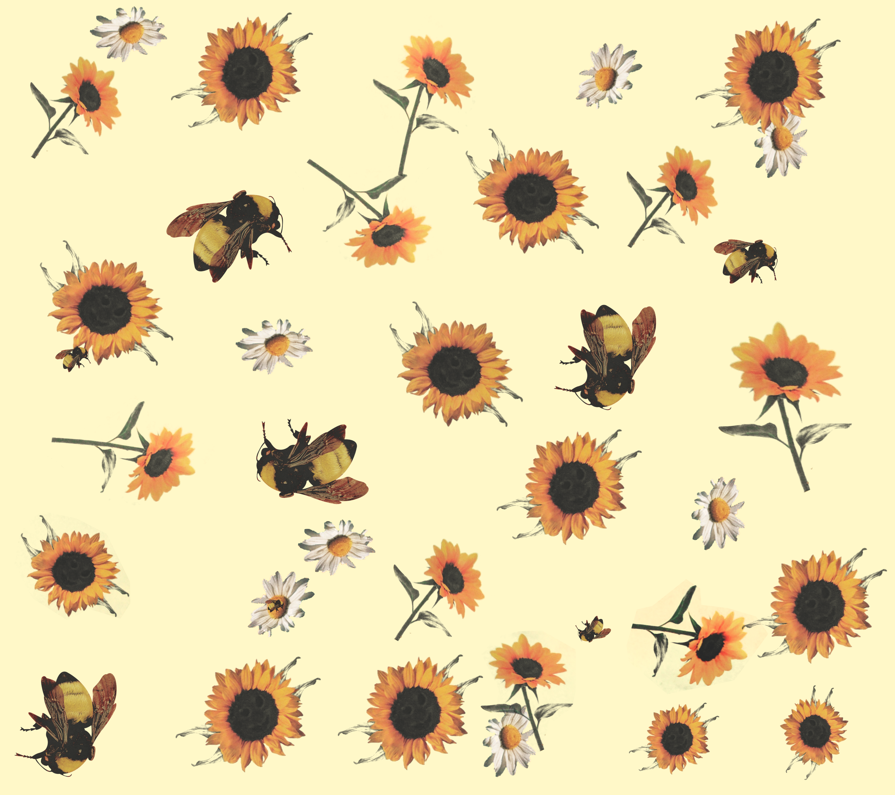 Aesthetic Bee Computer Wallpapers