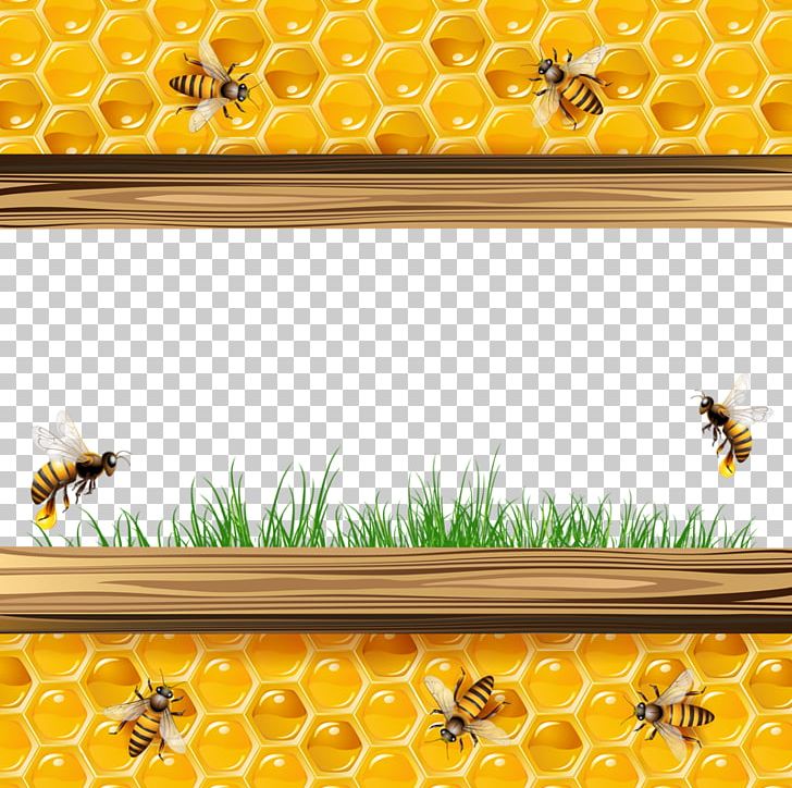 Aesthetic Bee Computer Wallpapers