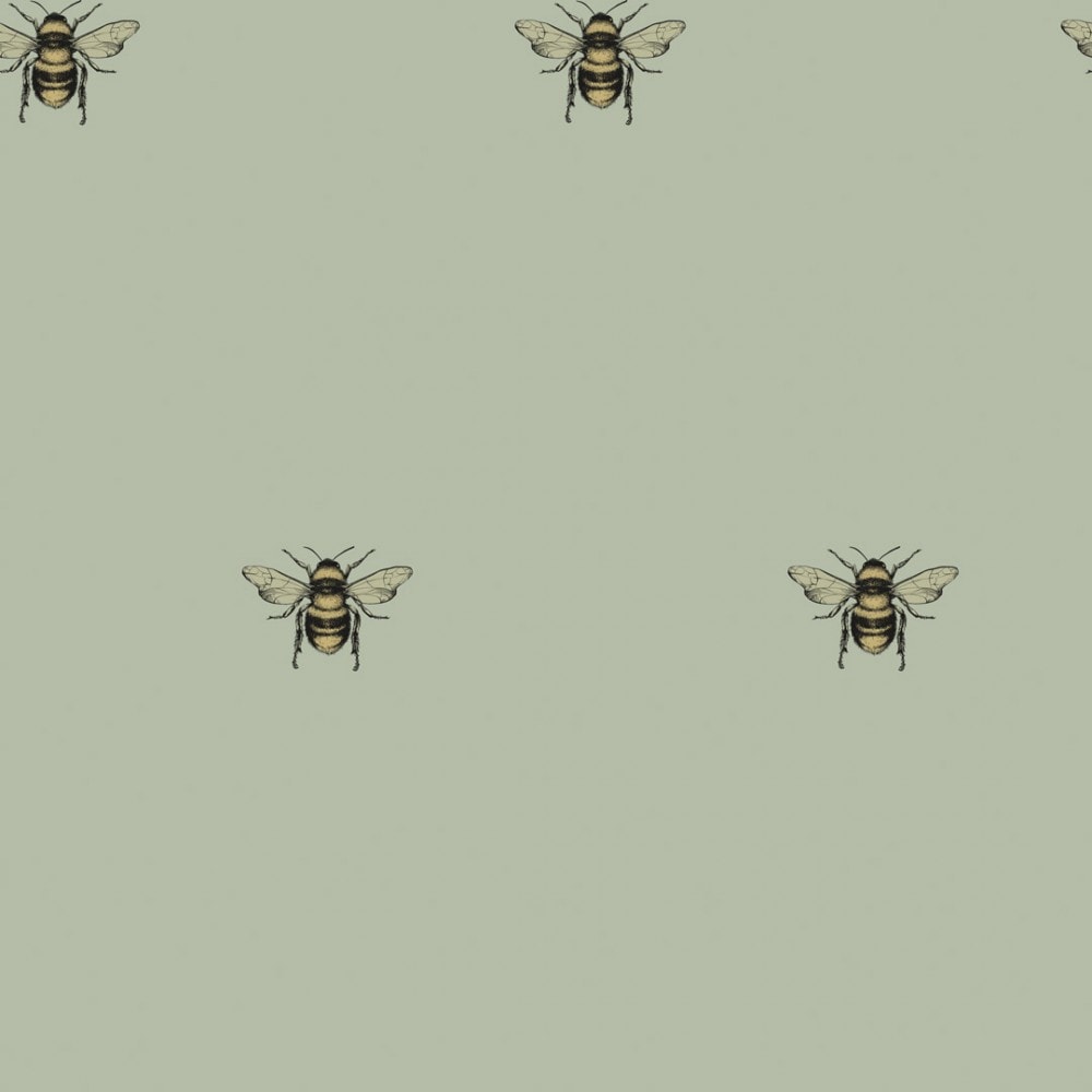 Aesthetic Bee Wallpapers