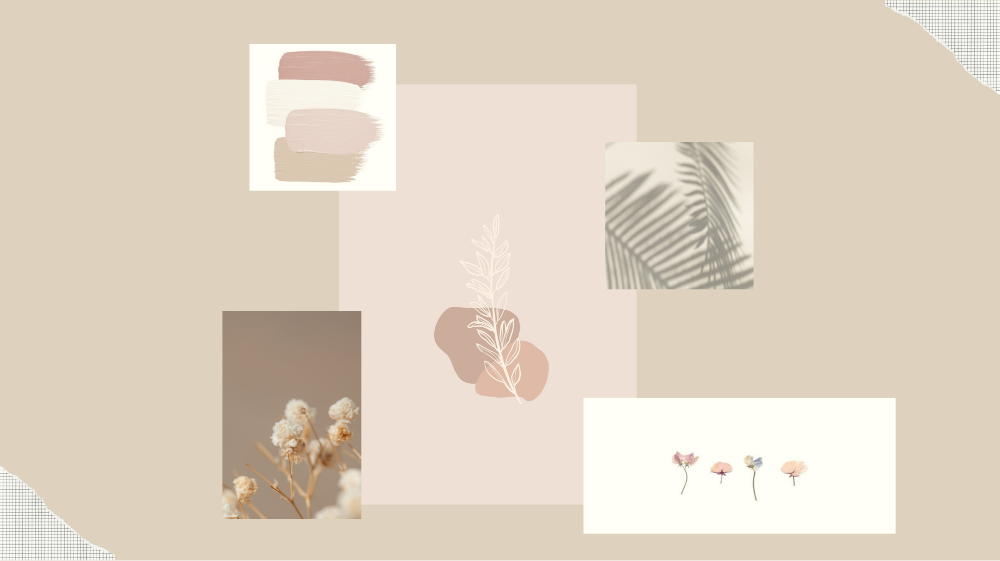 Aesthetic Beige Background