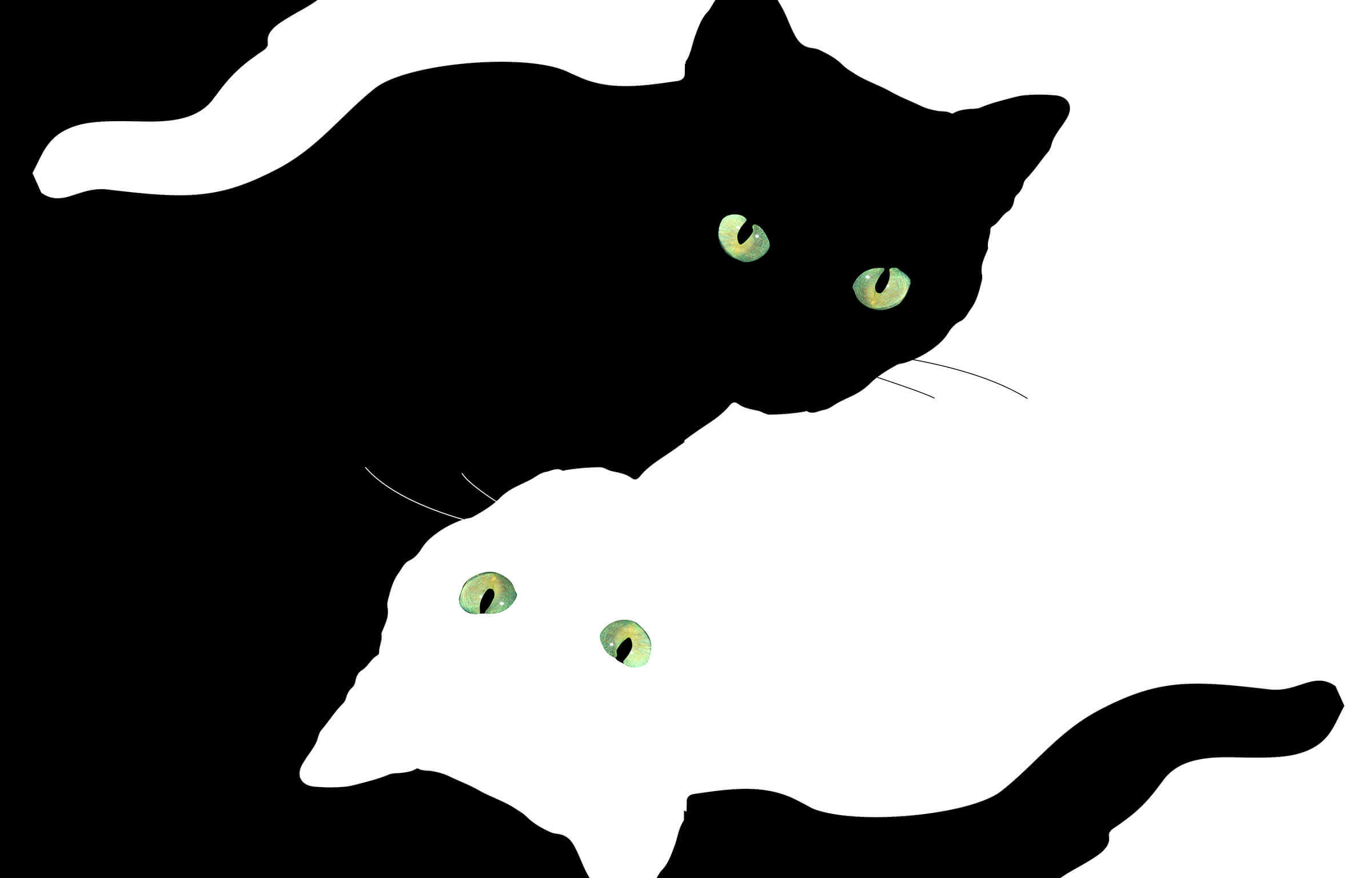 Aesthetic Black Cats Wallpapers