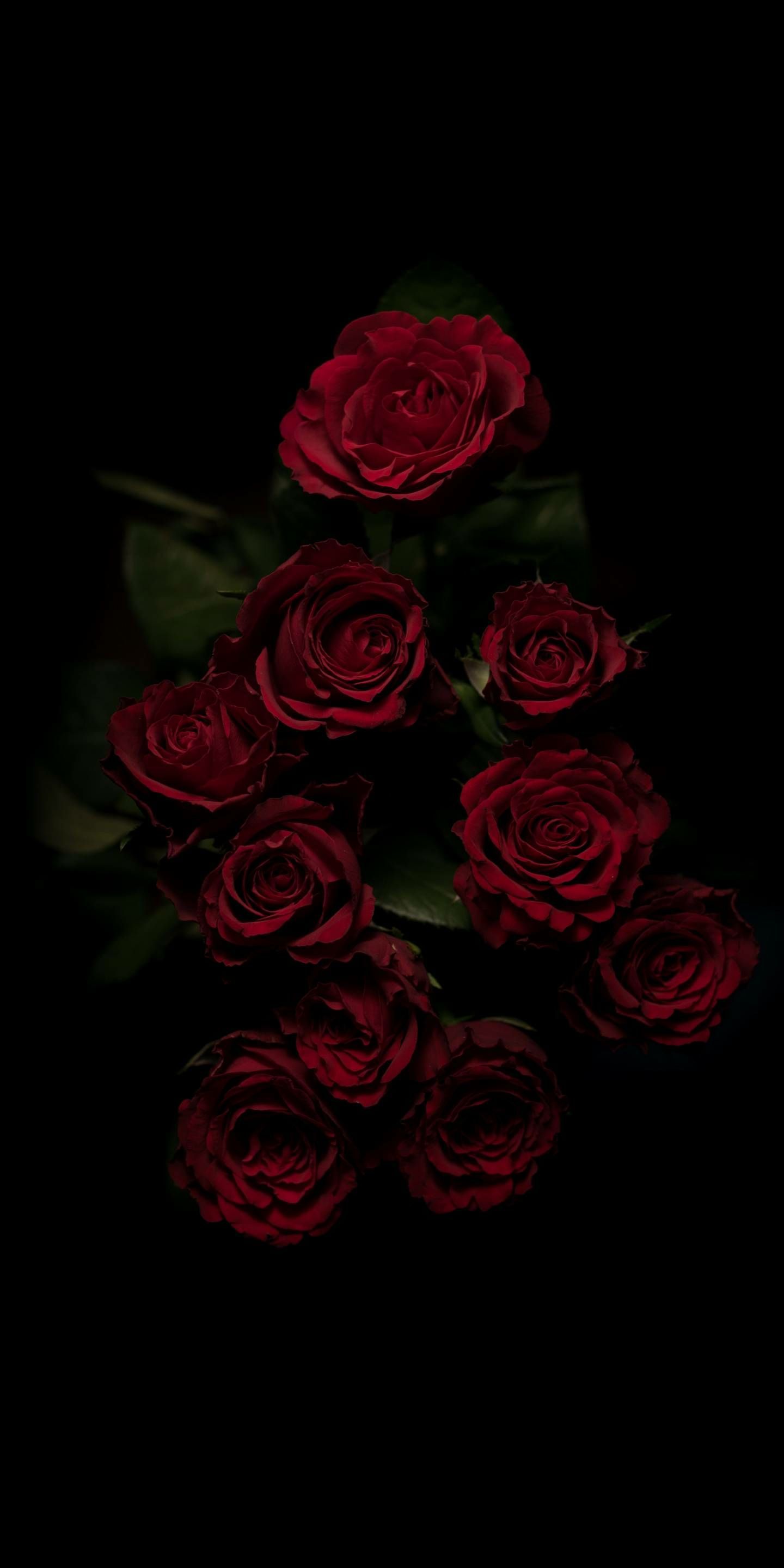 Aesthetic Black Rose Wallpapers