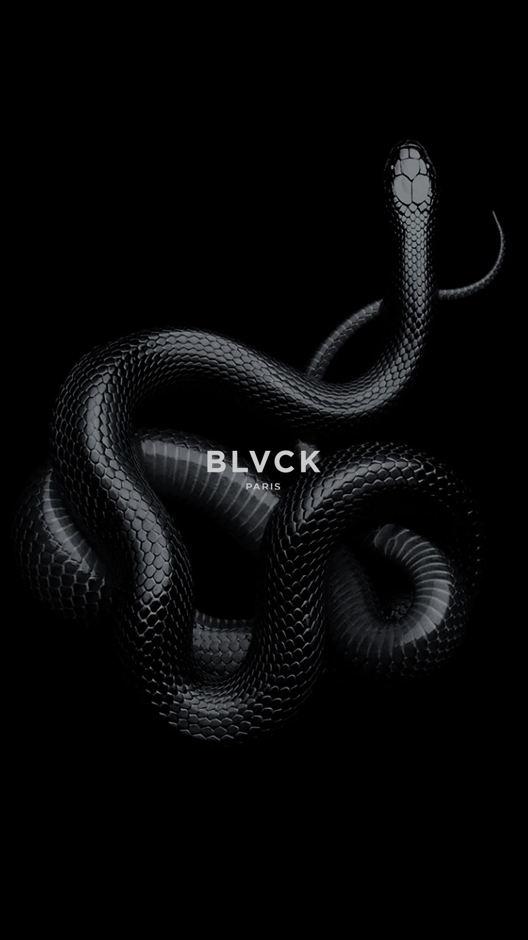 Aesthetic Black Snake Desktop Wallpapers