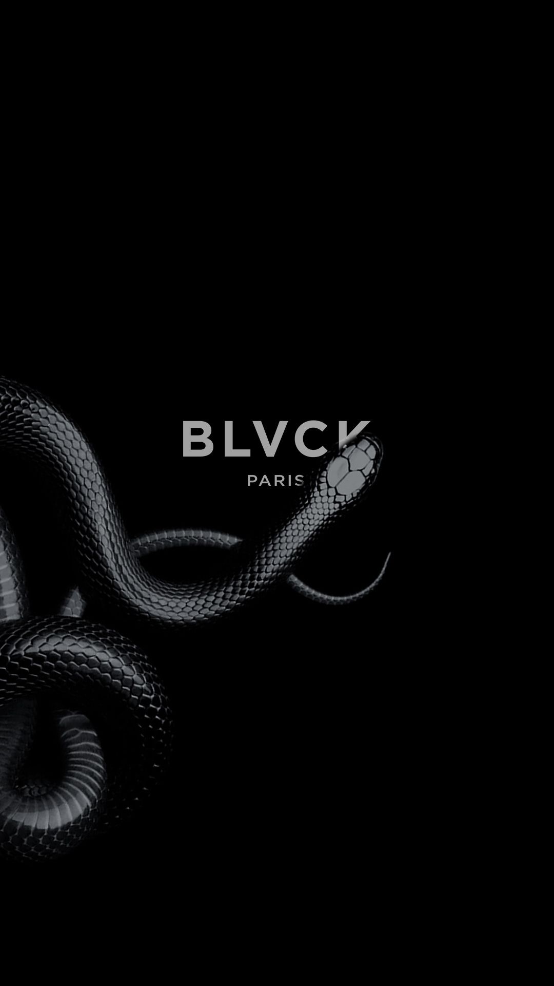 Aesthetic Black Snake Desktop Wallpapers