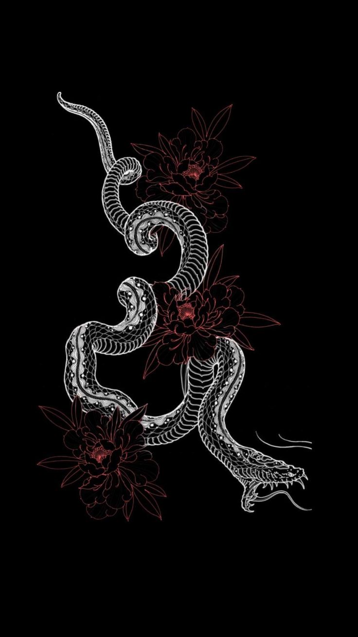 Aesthetic Black Snake Desktop Wallpapers