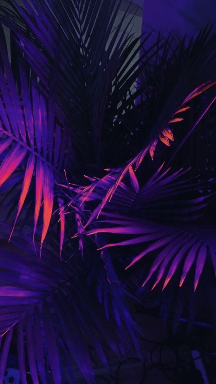 Aesthetic Blue And Purple Wallpapers