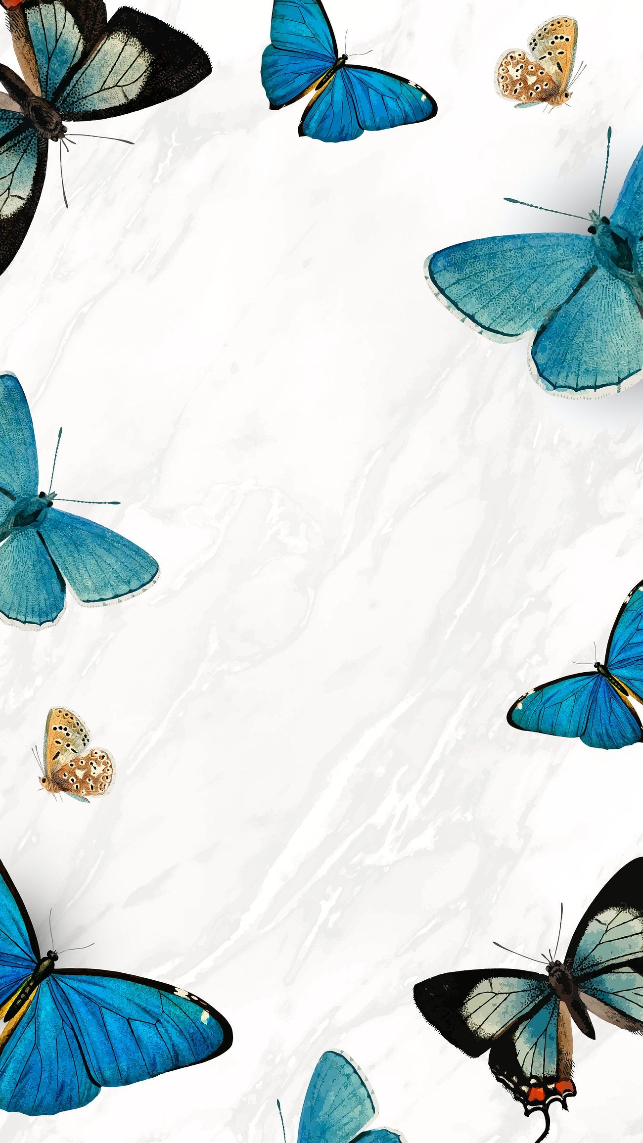 Aesthetic Blue Butterfly Wallpapers