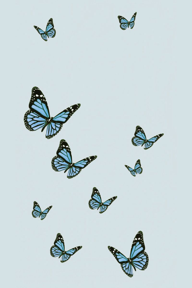 Aesthetic Blue Butterfly Wallpapers